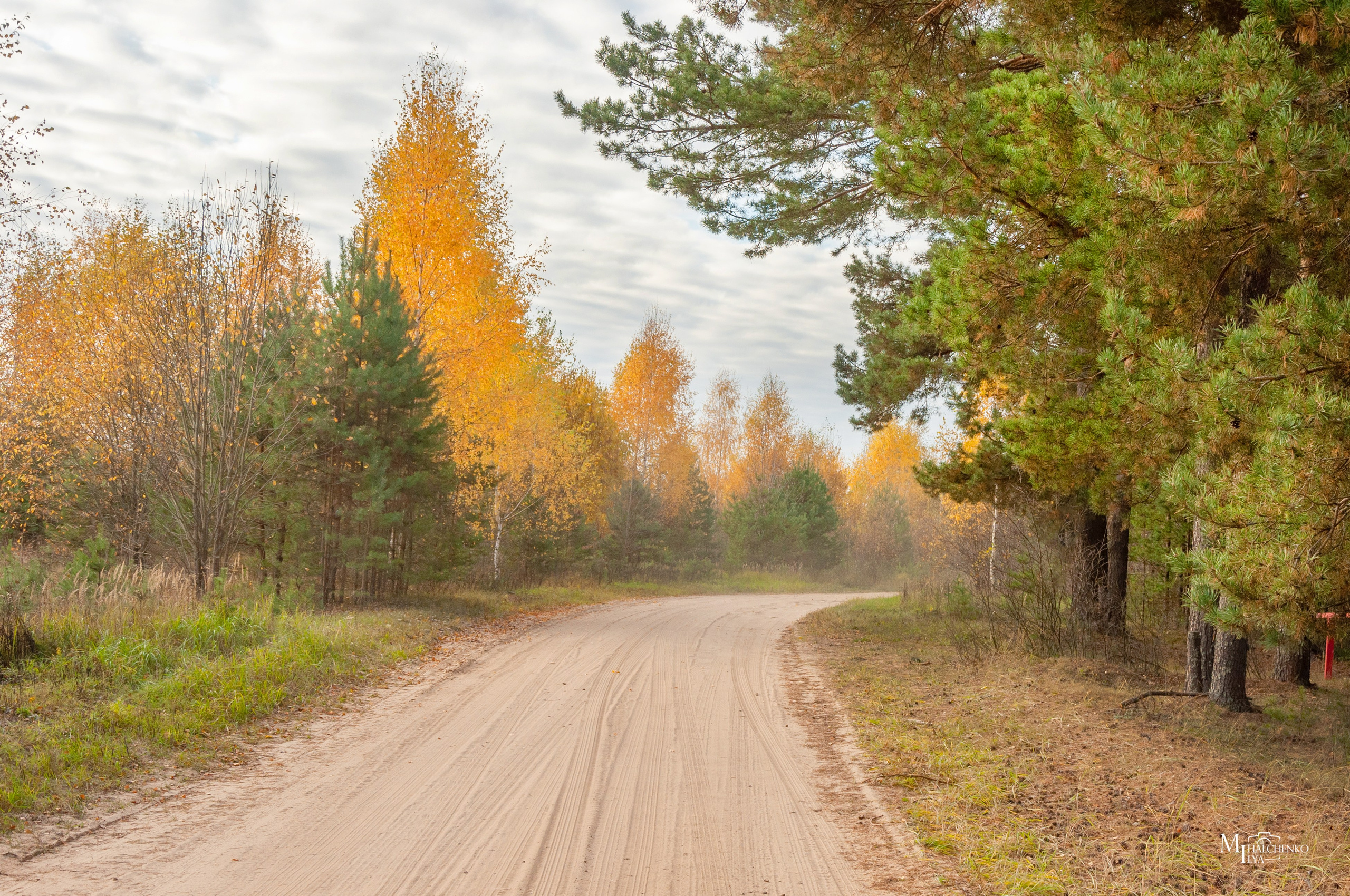Пейзажи и архитектура. Портретная и репортажная съёмка
