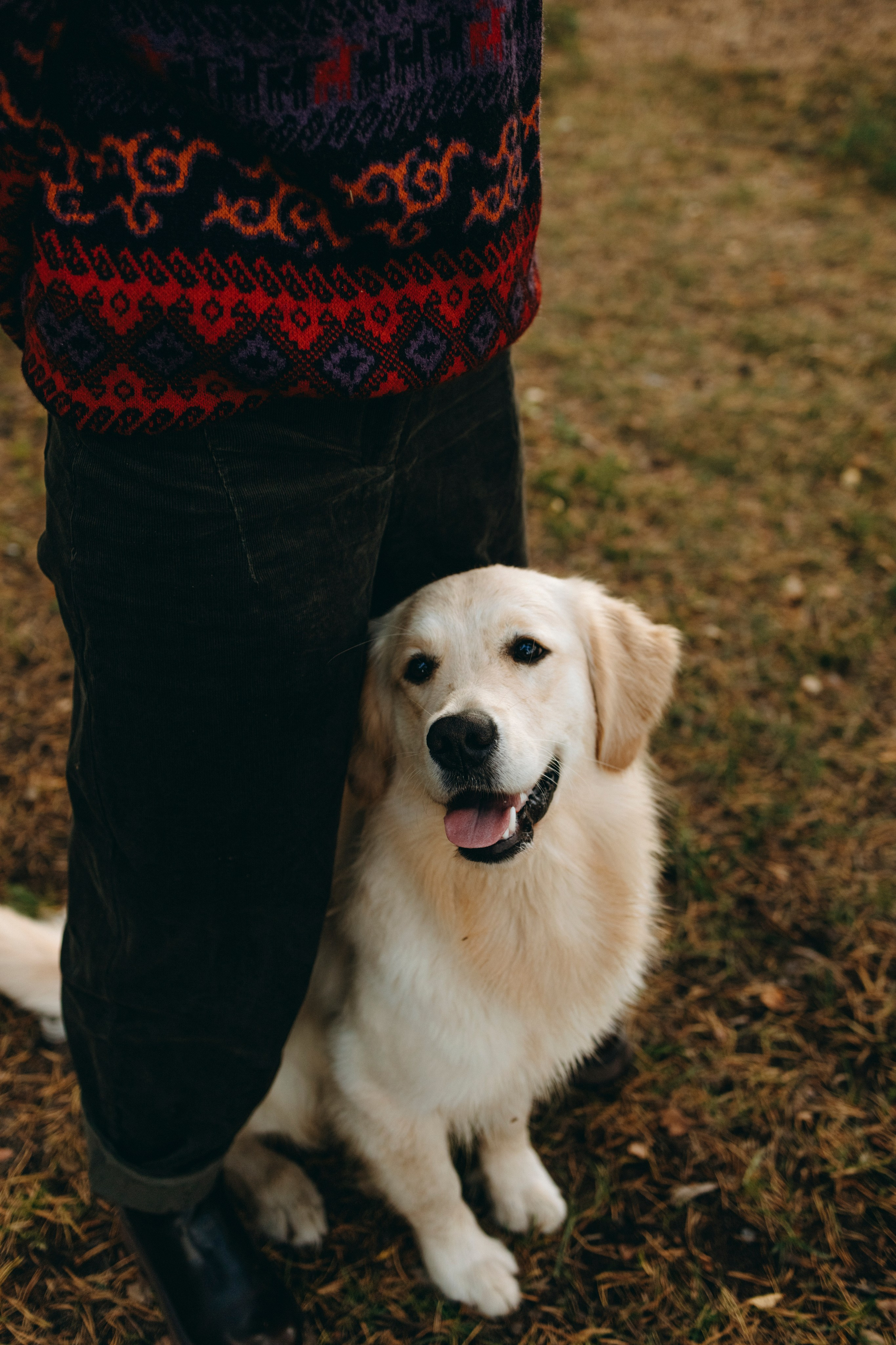 Прогулка Насти с Арчи и Арагоном. Фотограф-анималист в Санкт-Петеребурге Титова Алиса