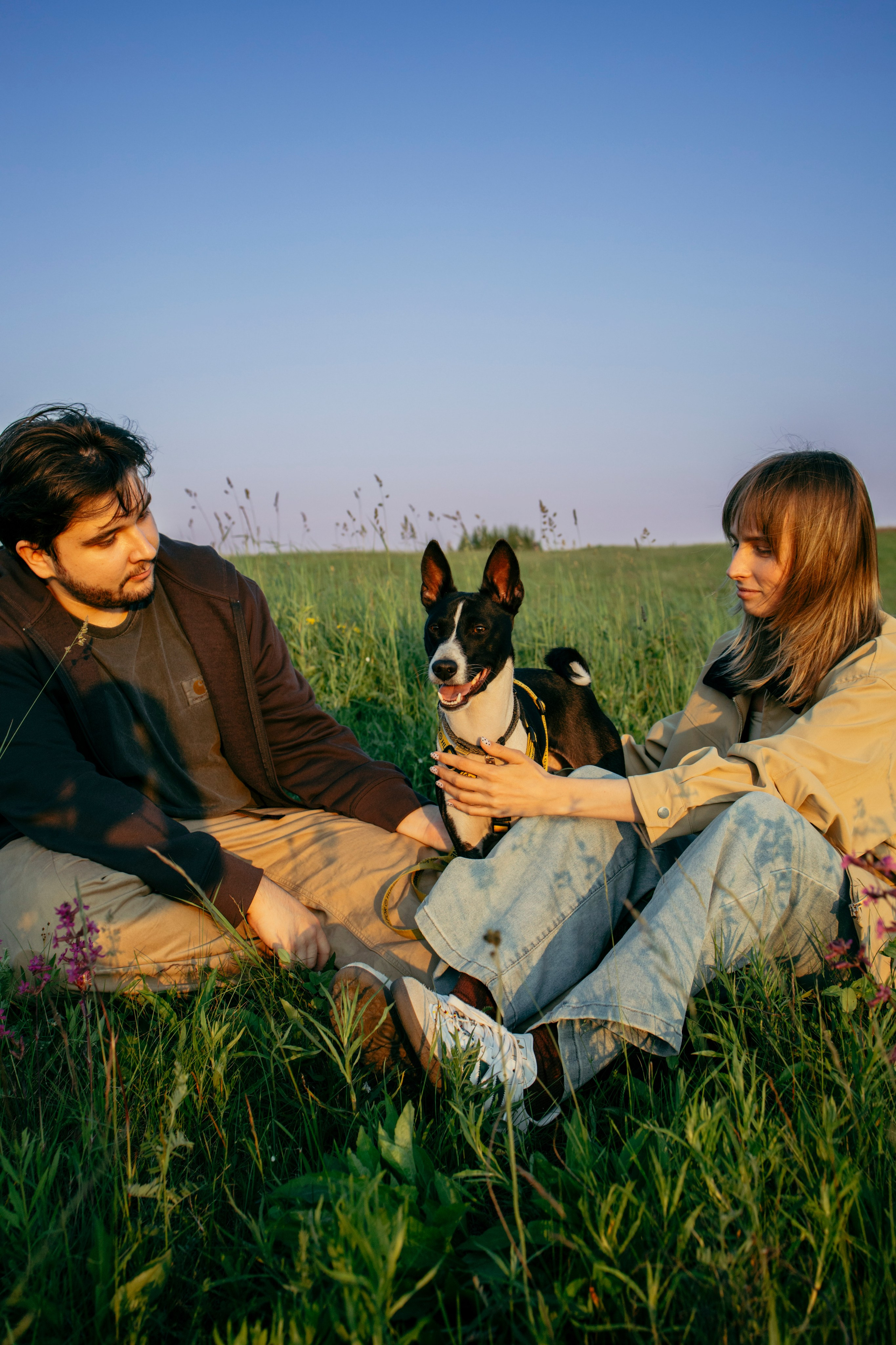 Итачи и его семья 🐾. Фотограф-анималист в Санкт-Петеребурге Титова Алиса
