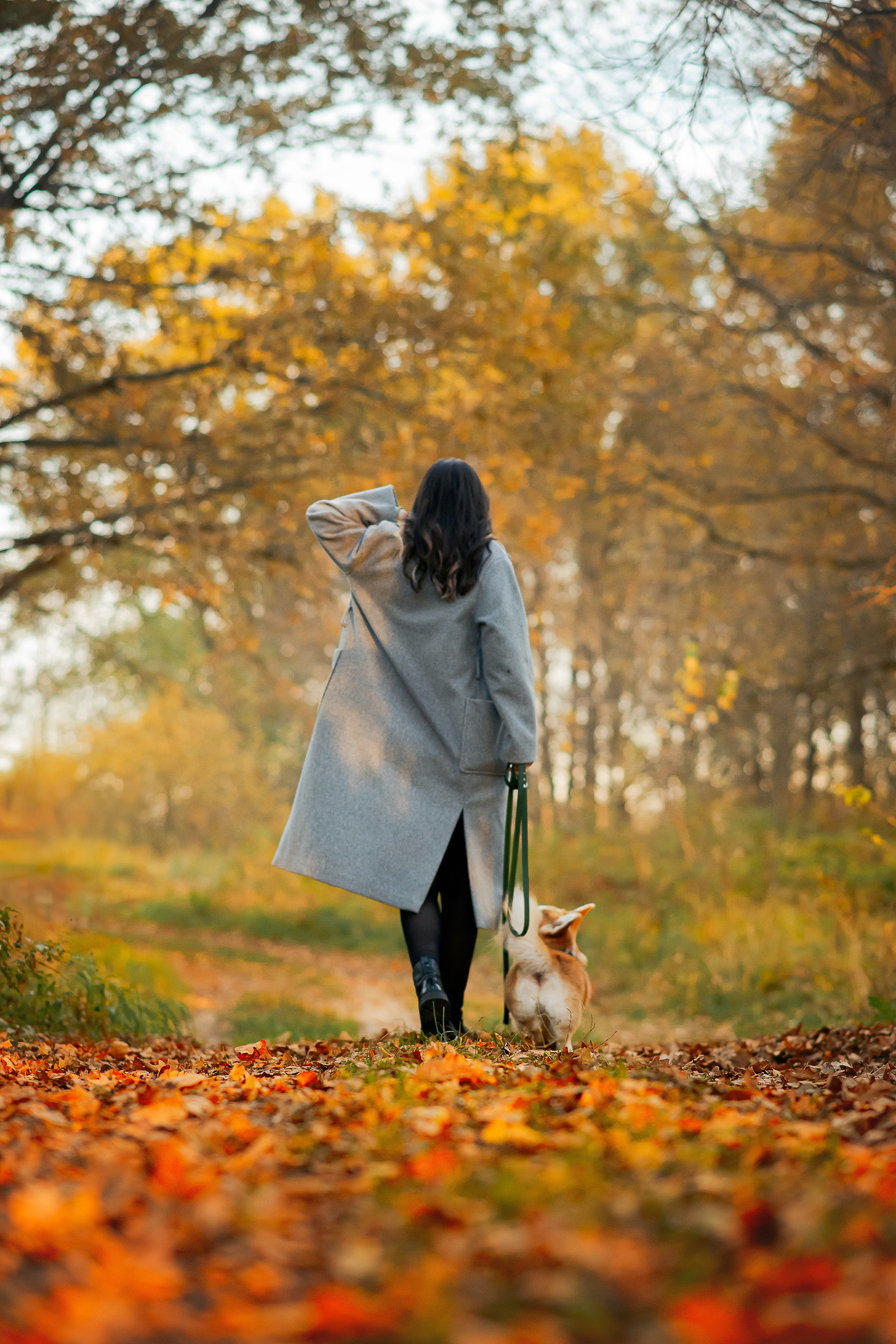 Максим, Надя, Рой и Шелби — 13.10.2024. Фотограф — Анималист | Анна Абрамова