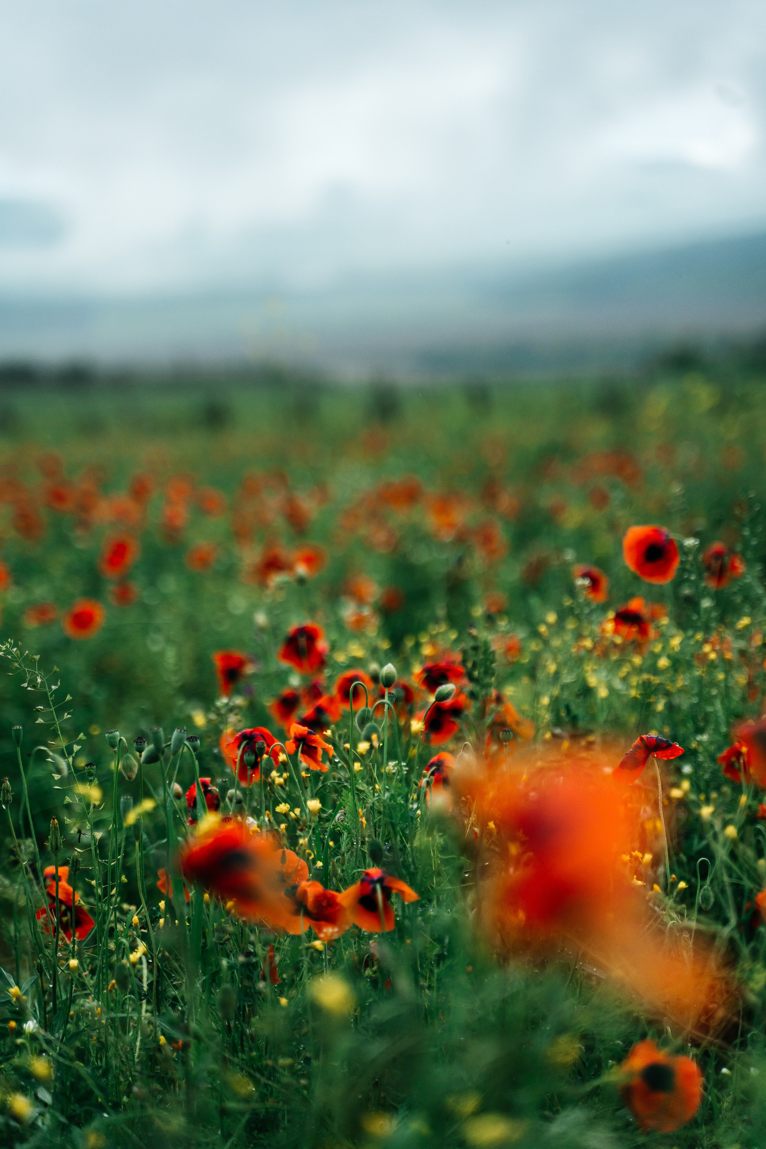 Дагестан. Семейный фотограф в Санкт-Петербурге