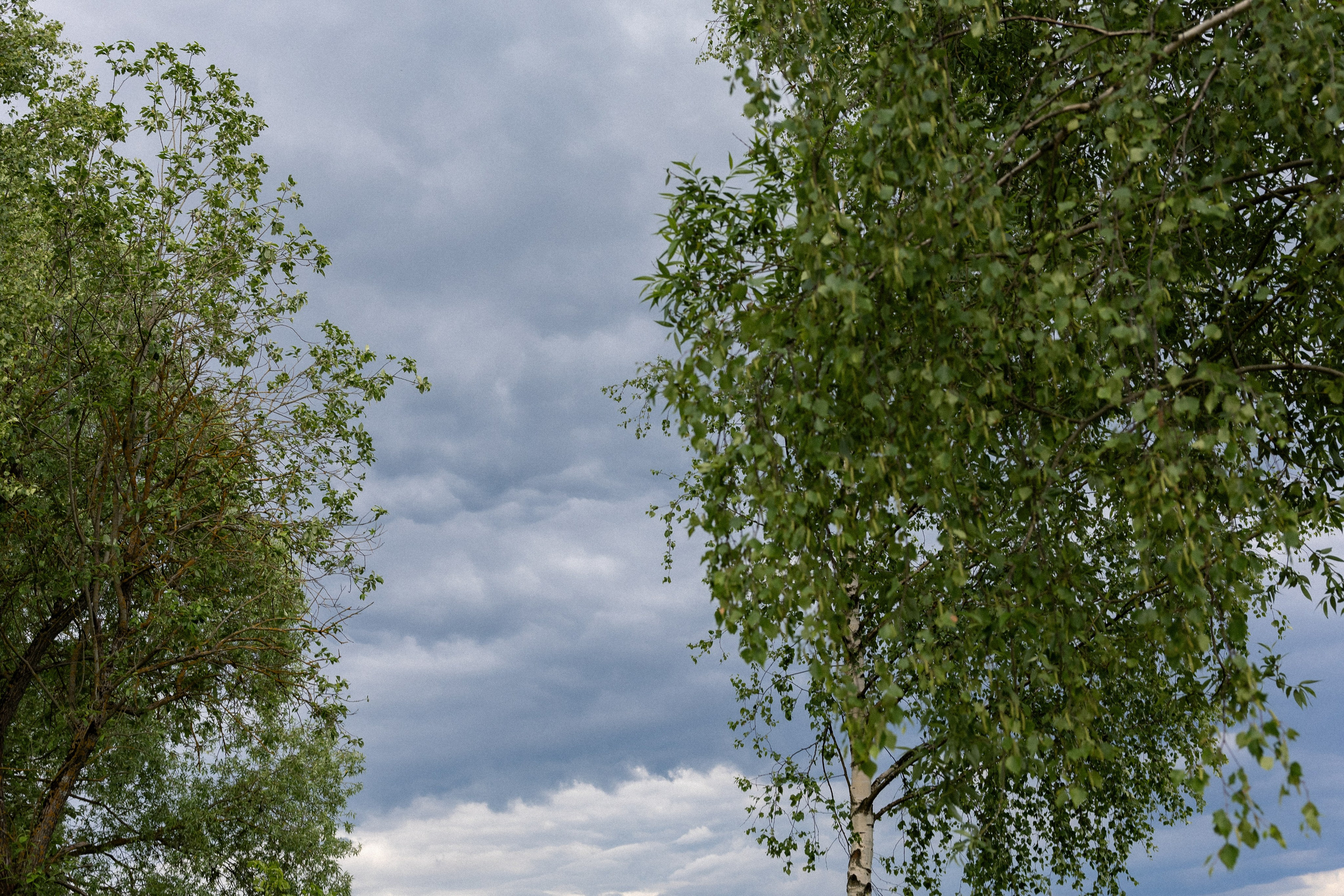 Аня и Костя. Свадебный и семейный фотограф Ракитин Илья