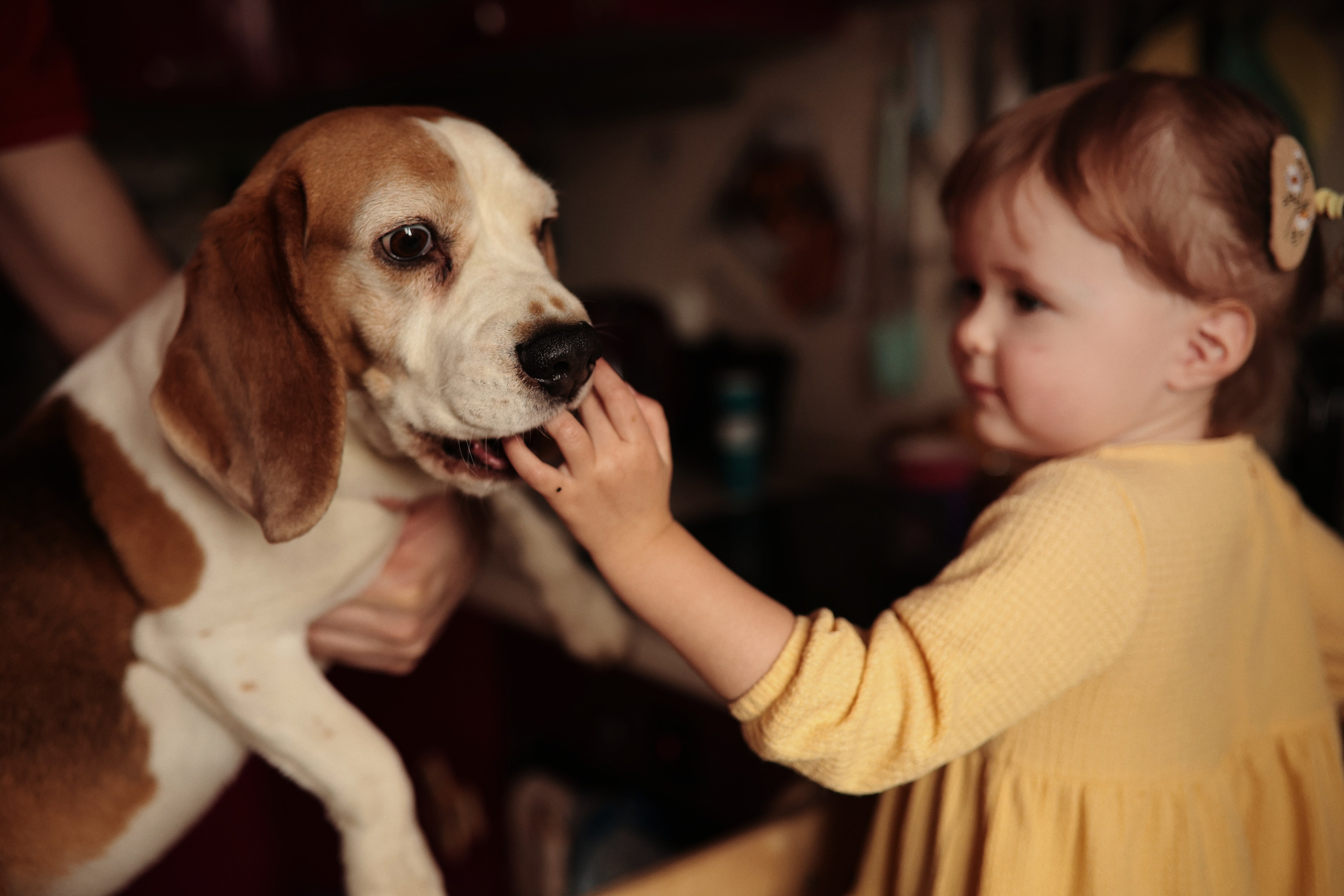 Домашняя фотосессия Лёши, Саши и малышки Иларии. Семейный фотограф в Москве и Люберцах Юлия Гуськова