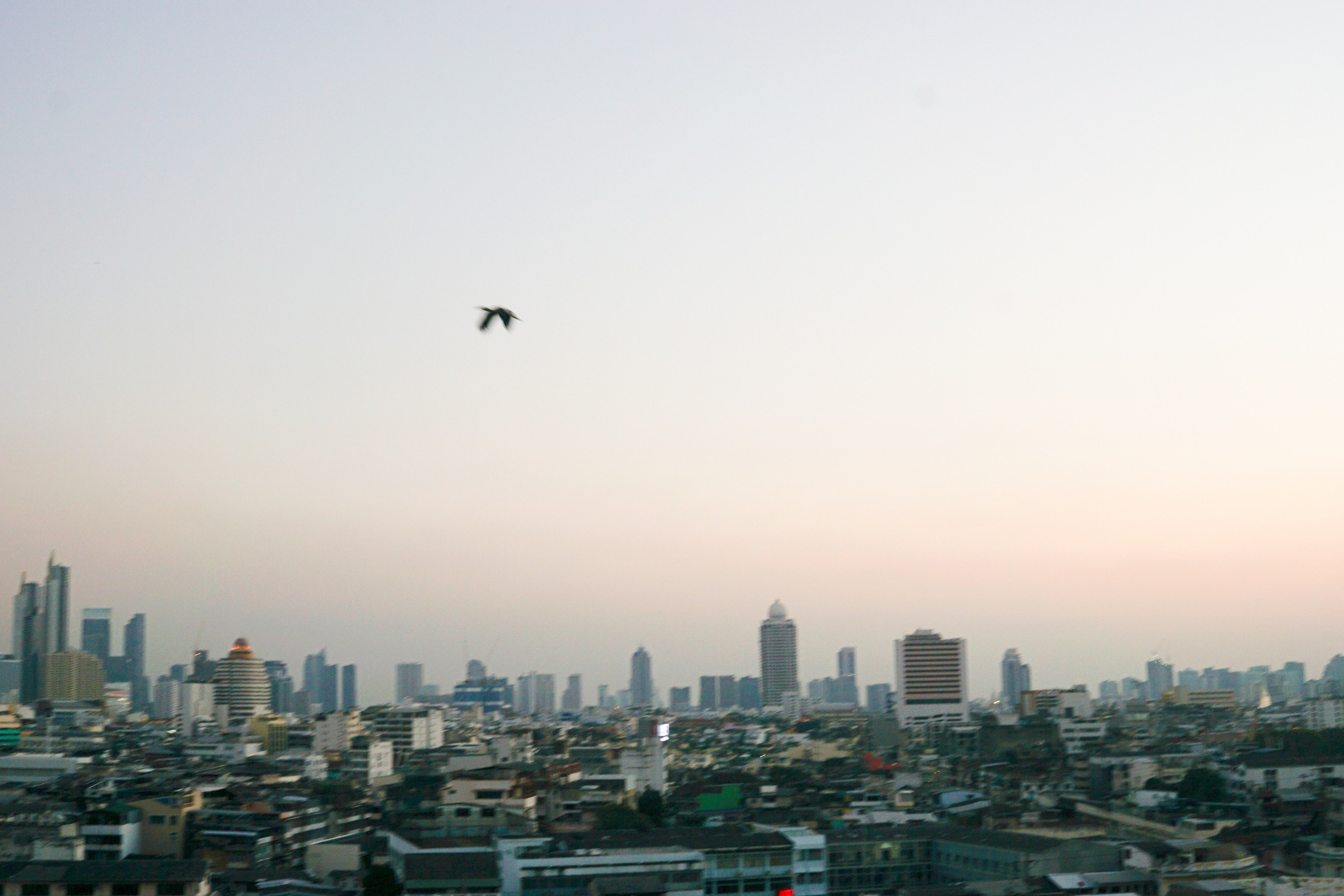 Invisible cities. Part II. Night. Аллегра Геллер