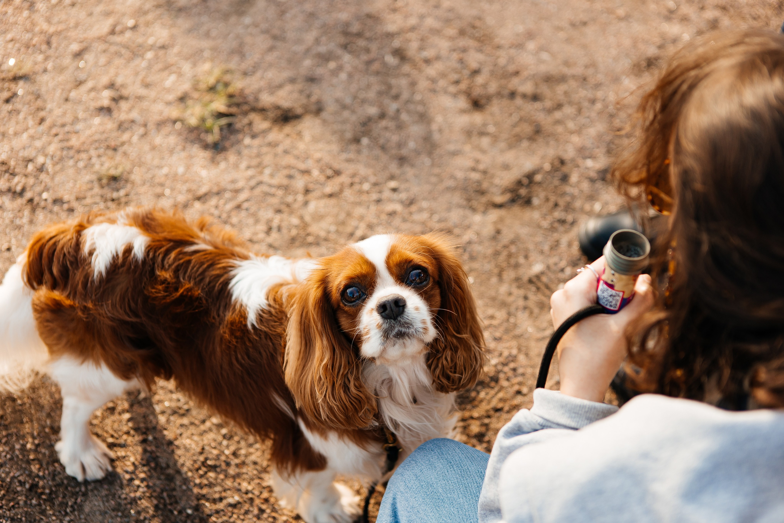Пикник Афиши 2025. Фотограф в Москве Влад Ярчевский