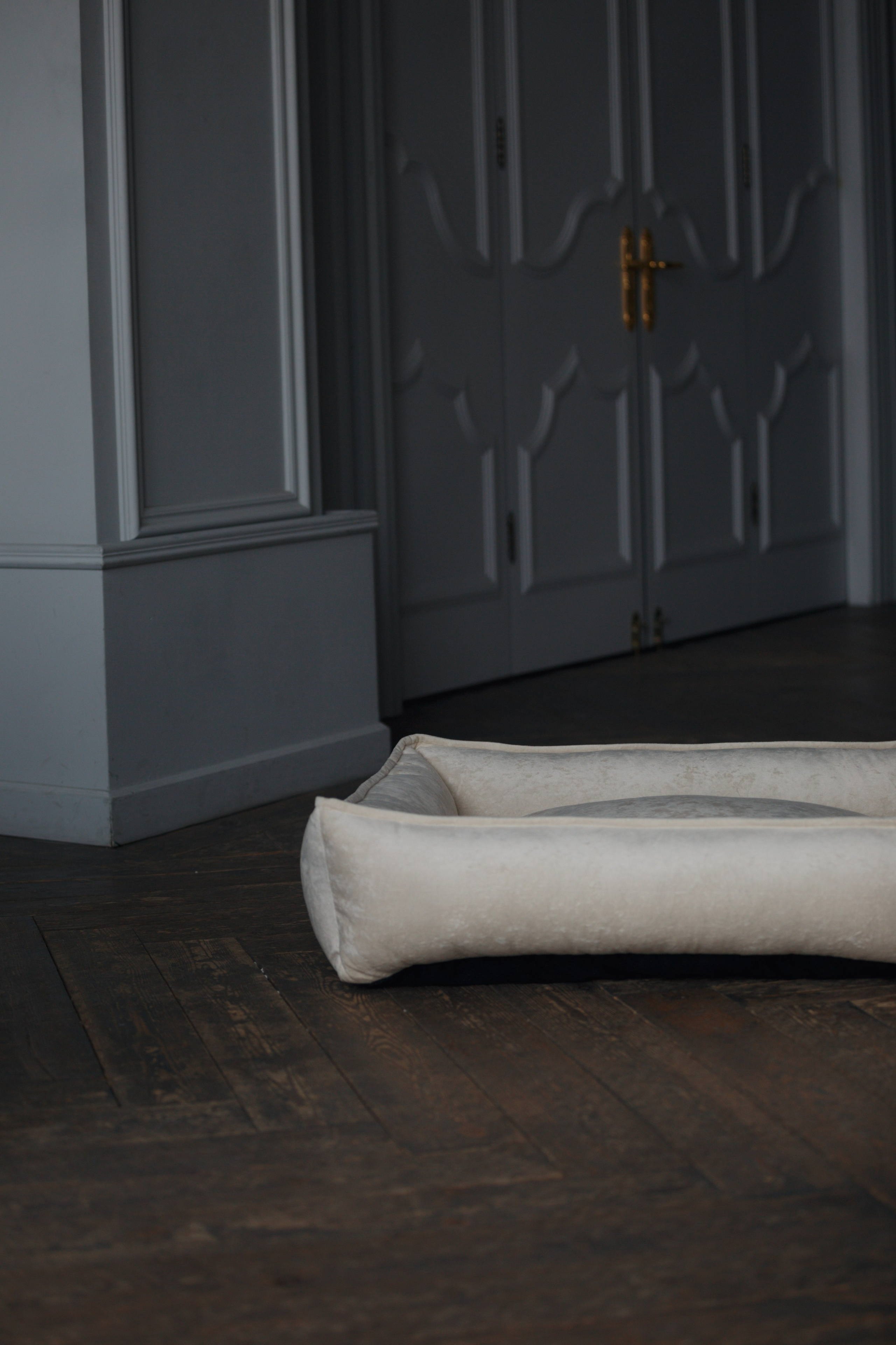 Bmbh лежанки и адресники. Фотограф анималист Кристина Карпова, Москва