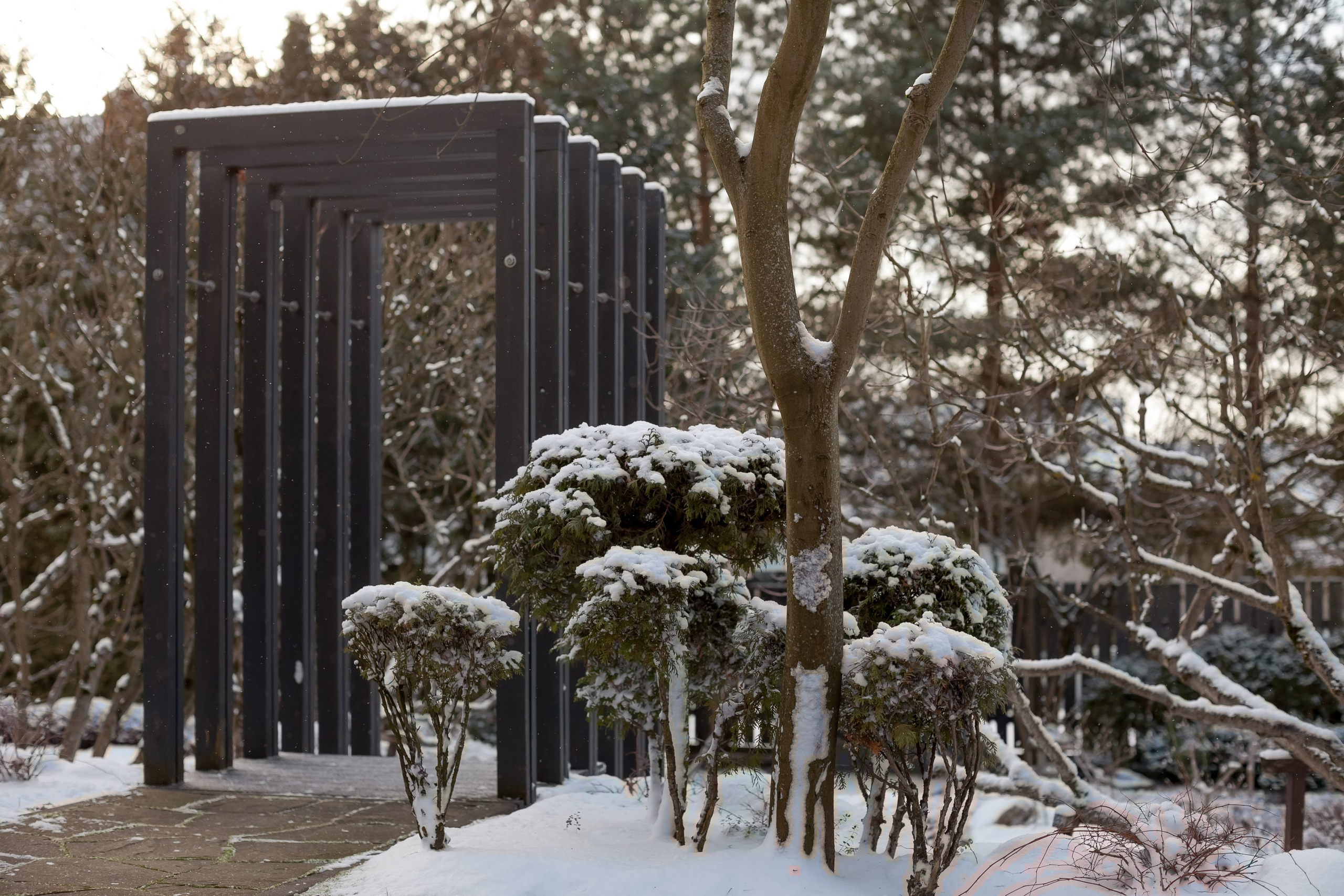 Спящий сад, Елены Асташкиной. Туманов Виталий — фотограф Москва