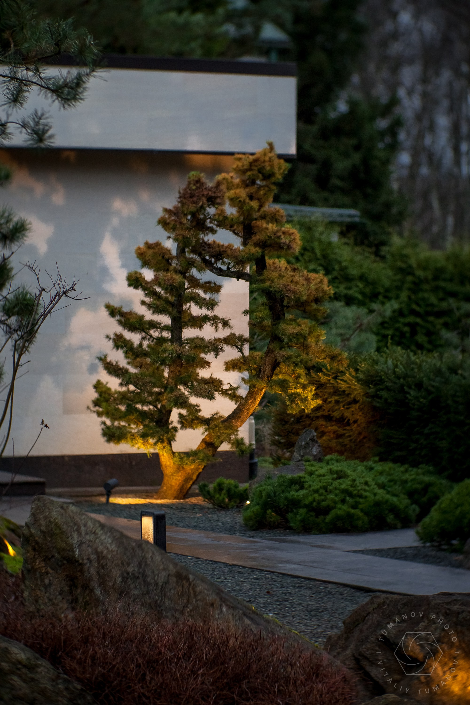 Вечерний сад «Сиреневый туман» (автор: Елена Асташкина). Виталий Туманов — Ландшафтный фотограф