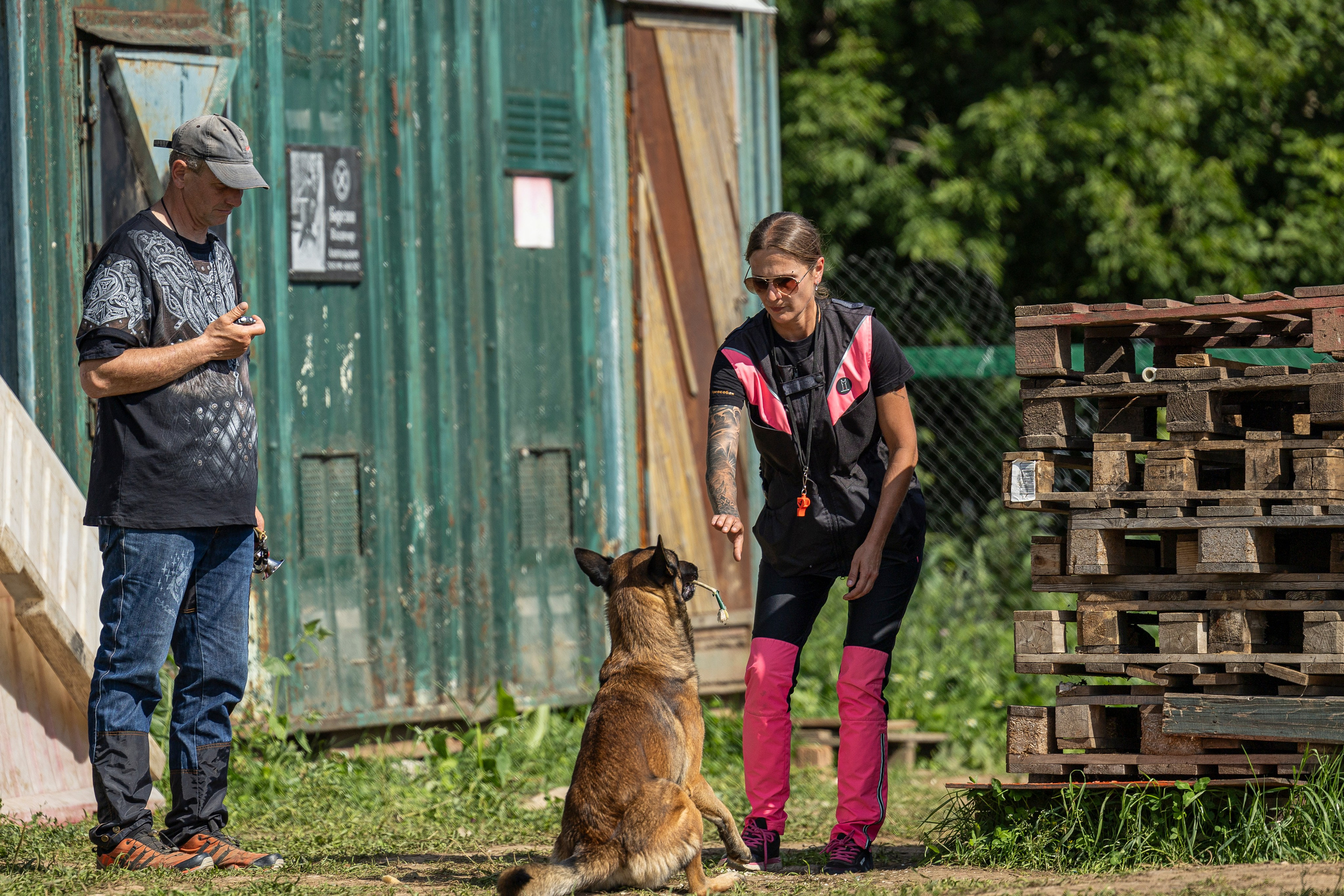 Соревнования по Мондьорингу г. Вологда 10-11.08.2024. Фотограф-анималист Анна Маринич