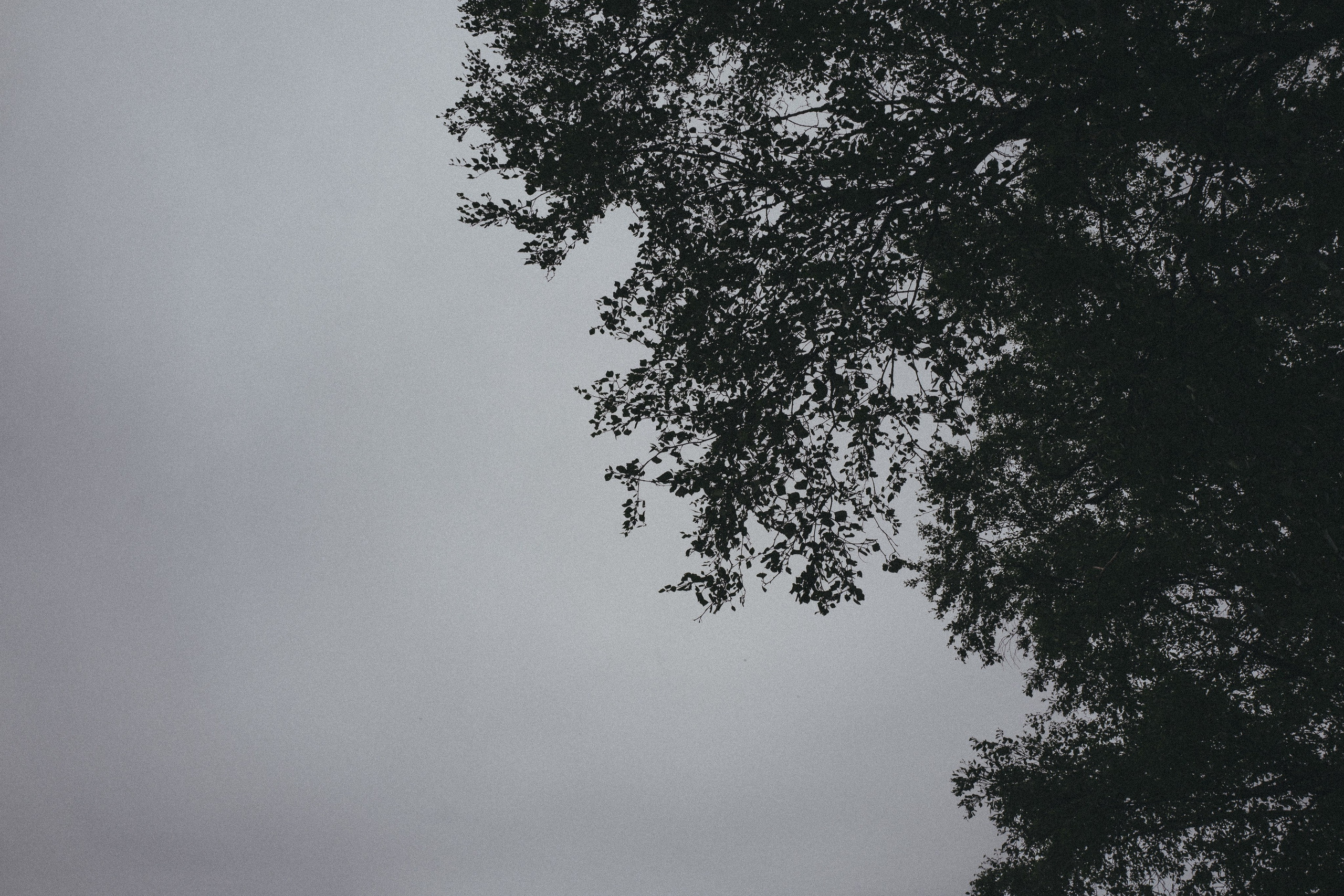 Happy Birthday, Alina ♥️. <3