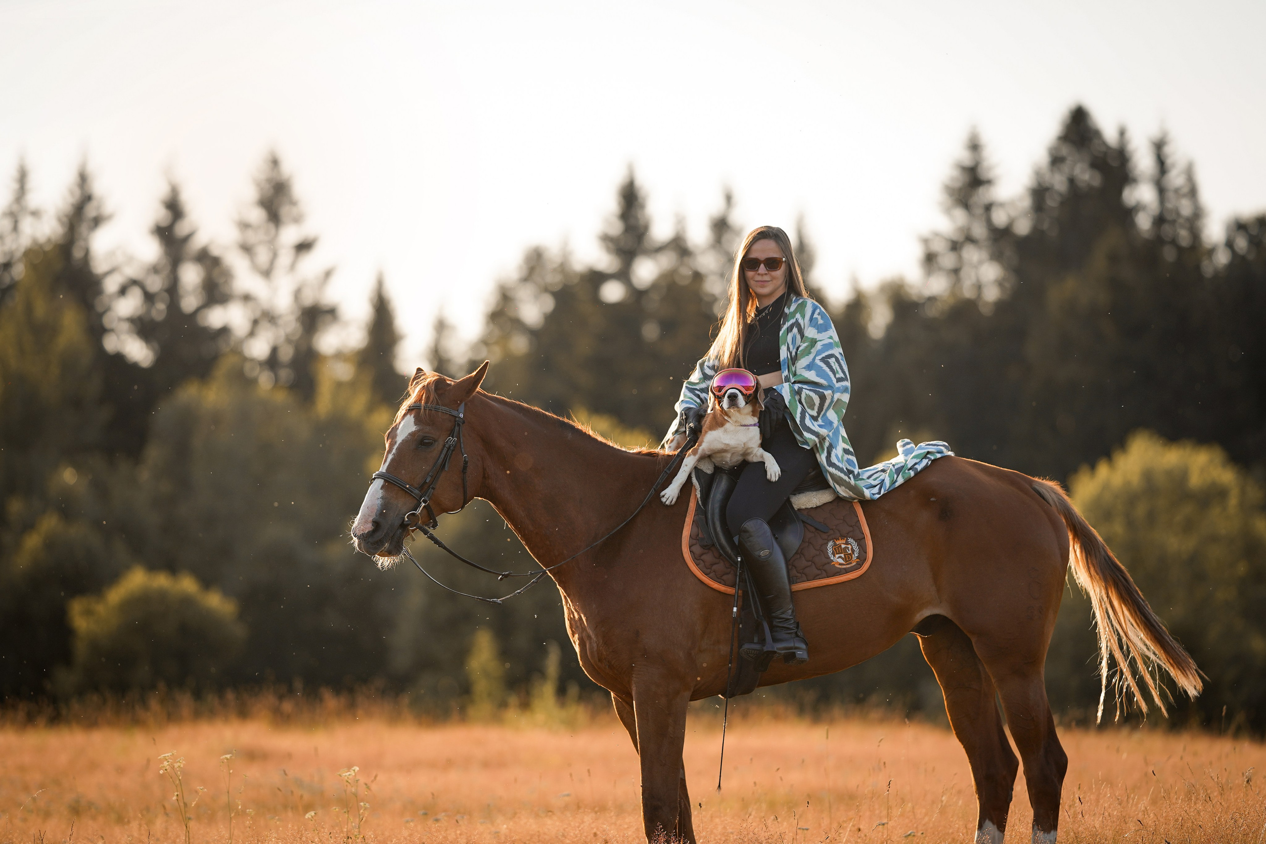 Лера Джон и Диамант. Фотограф-анималист в Санкт-Петербурге Яна Мартынова