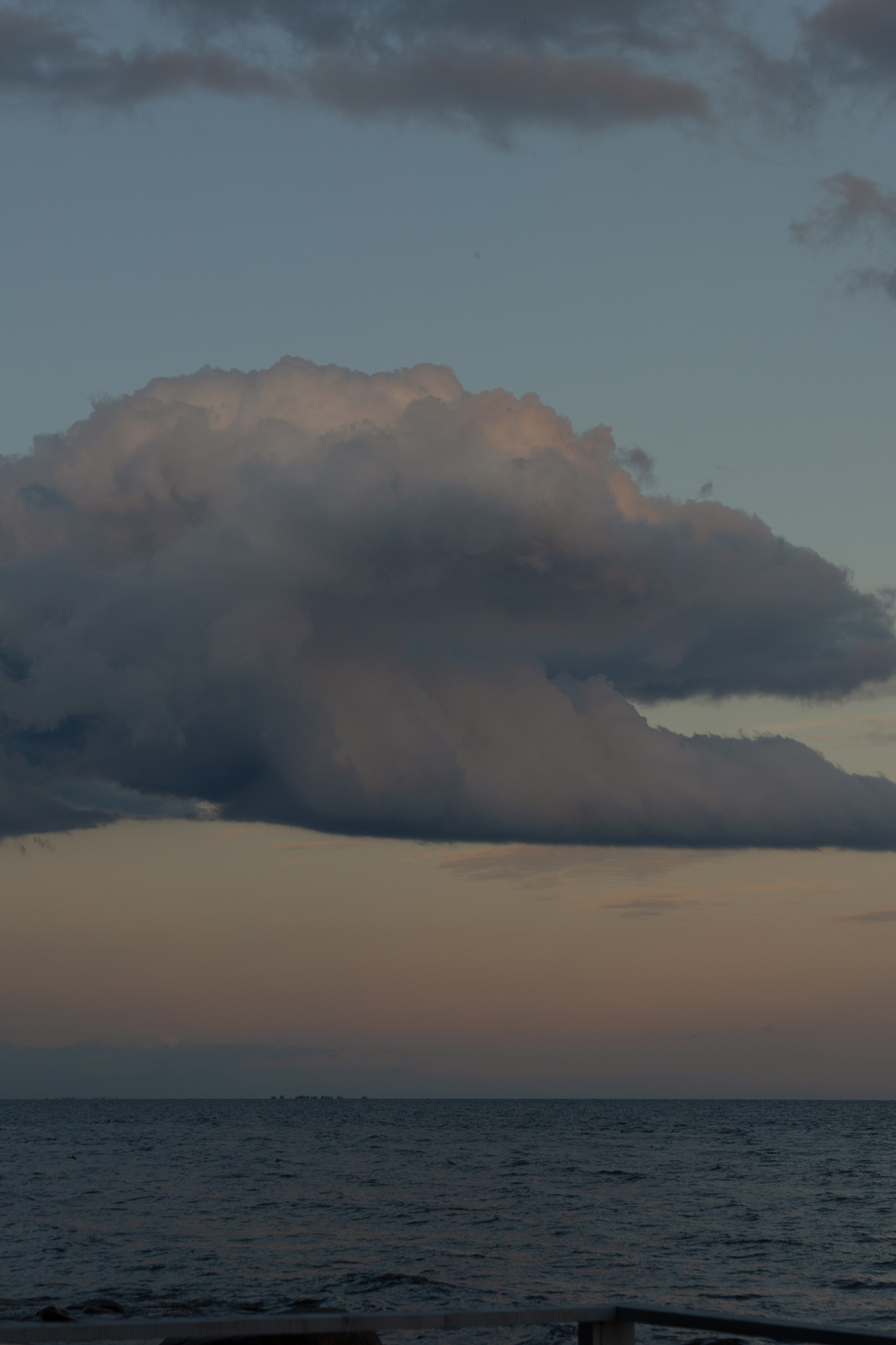 Виталий и Полина: свадьба загородом, где дождь не помеха. @dariazphoto свадебный фотограф