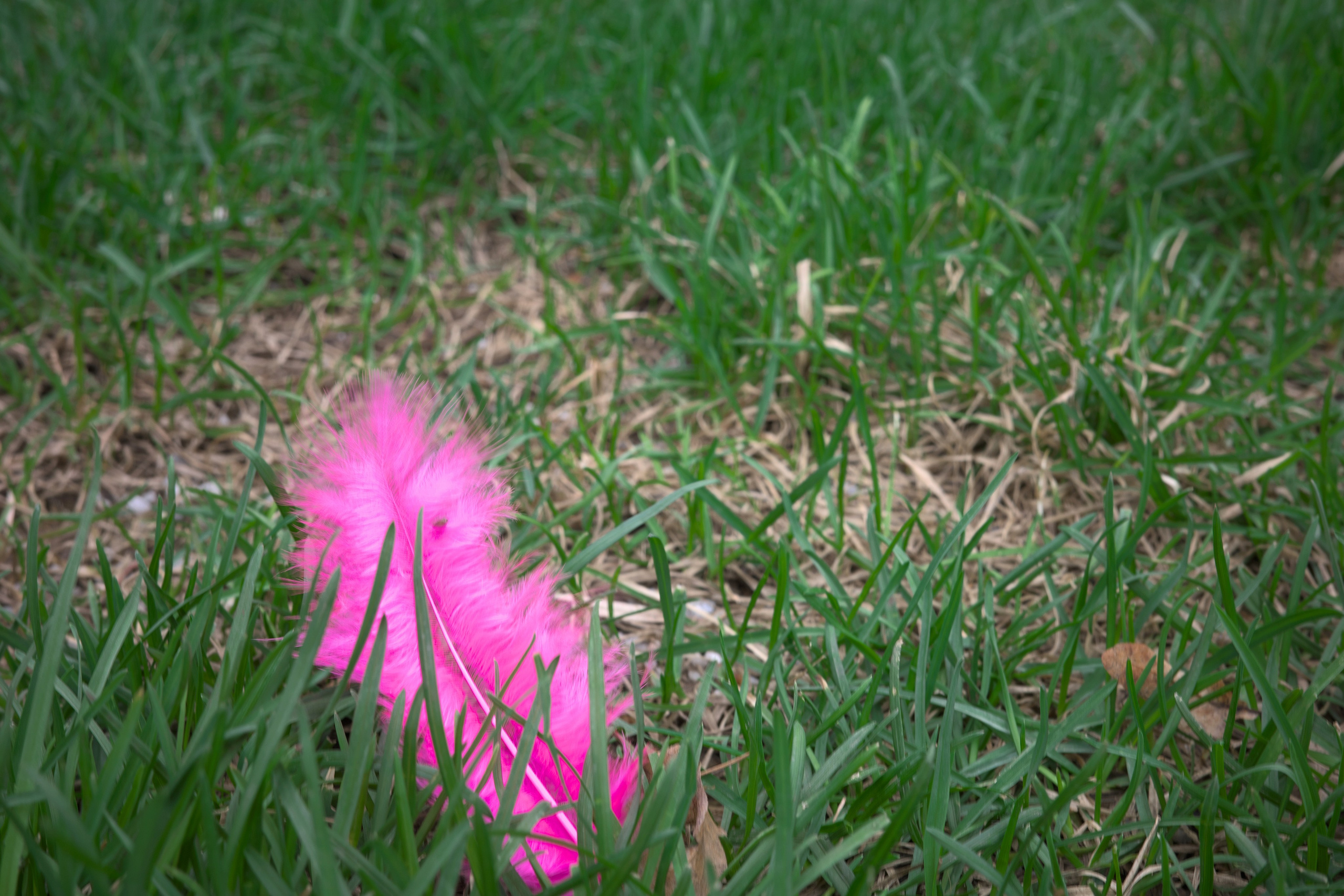 День выдался прохладным и пасмурным ☁️. Миша Печёнкин | фотография