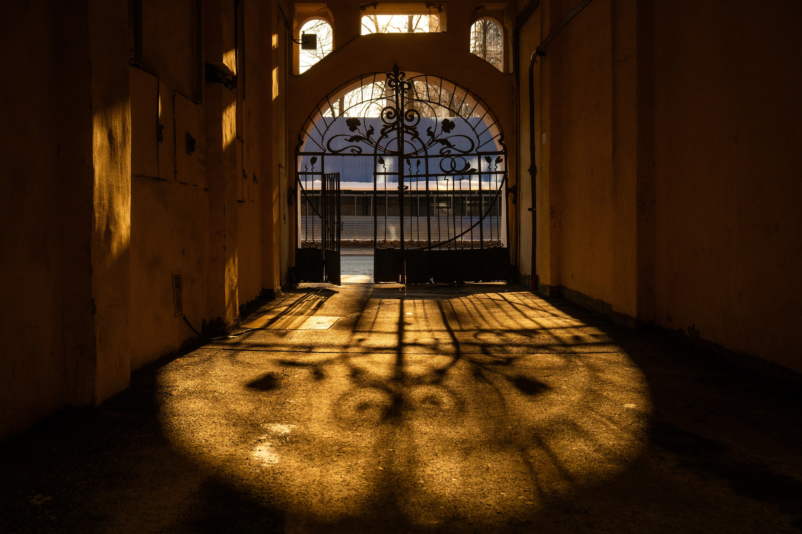 Light. Dimitri Bakhtadze photographer