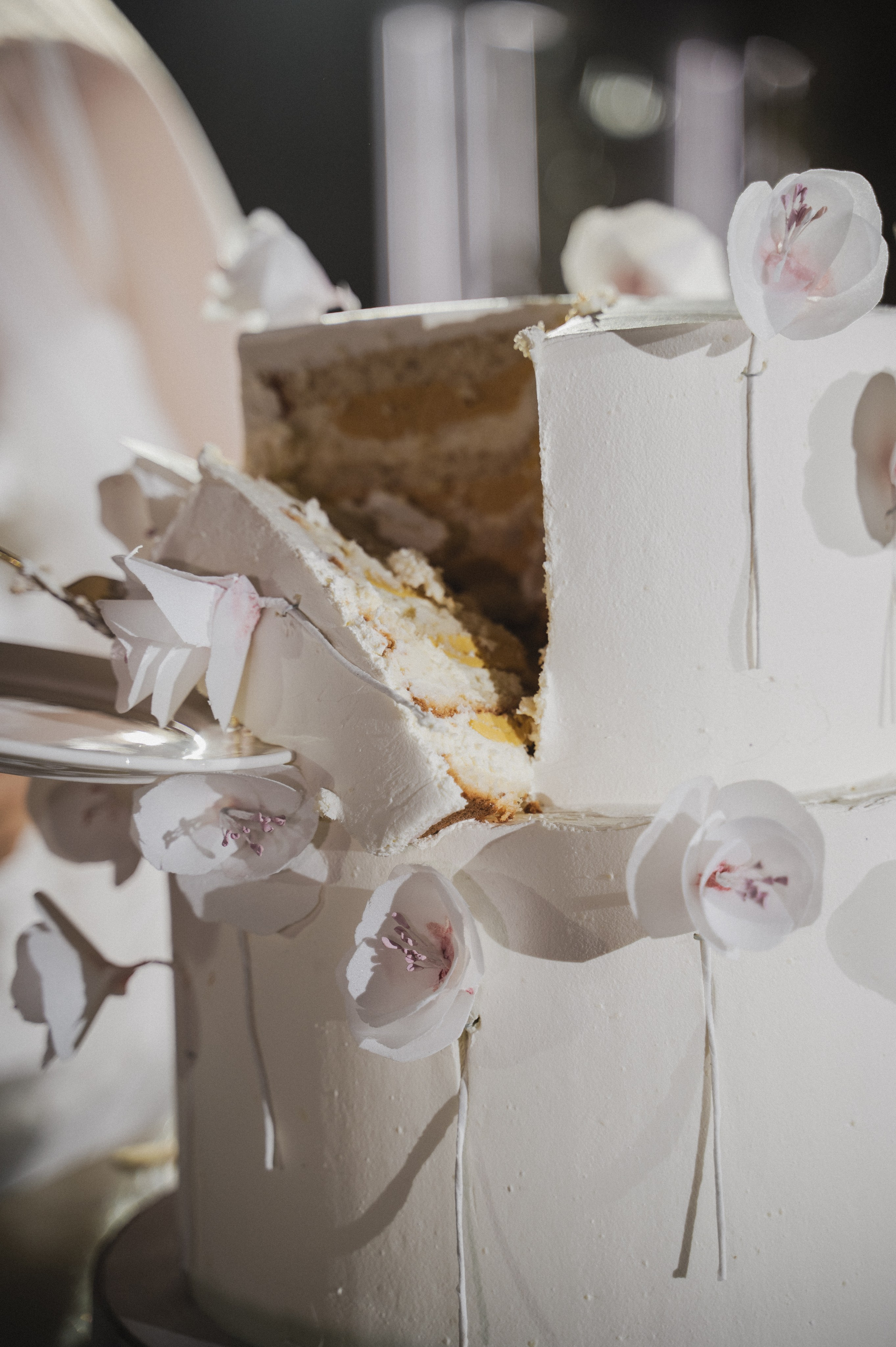 Альбом 24. Свадебный фотограф в Рязани Дзюрак Елизавета