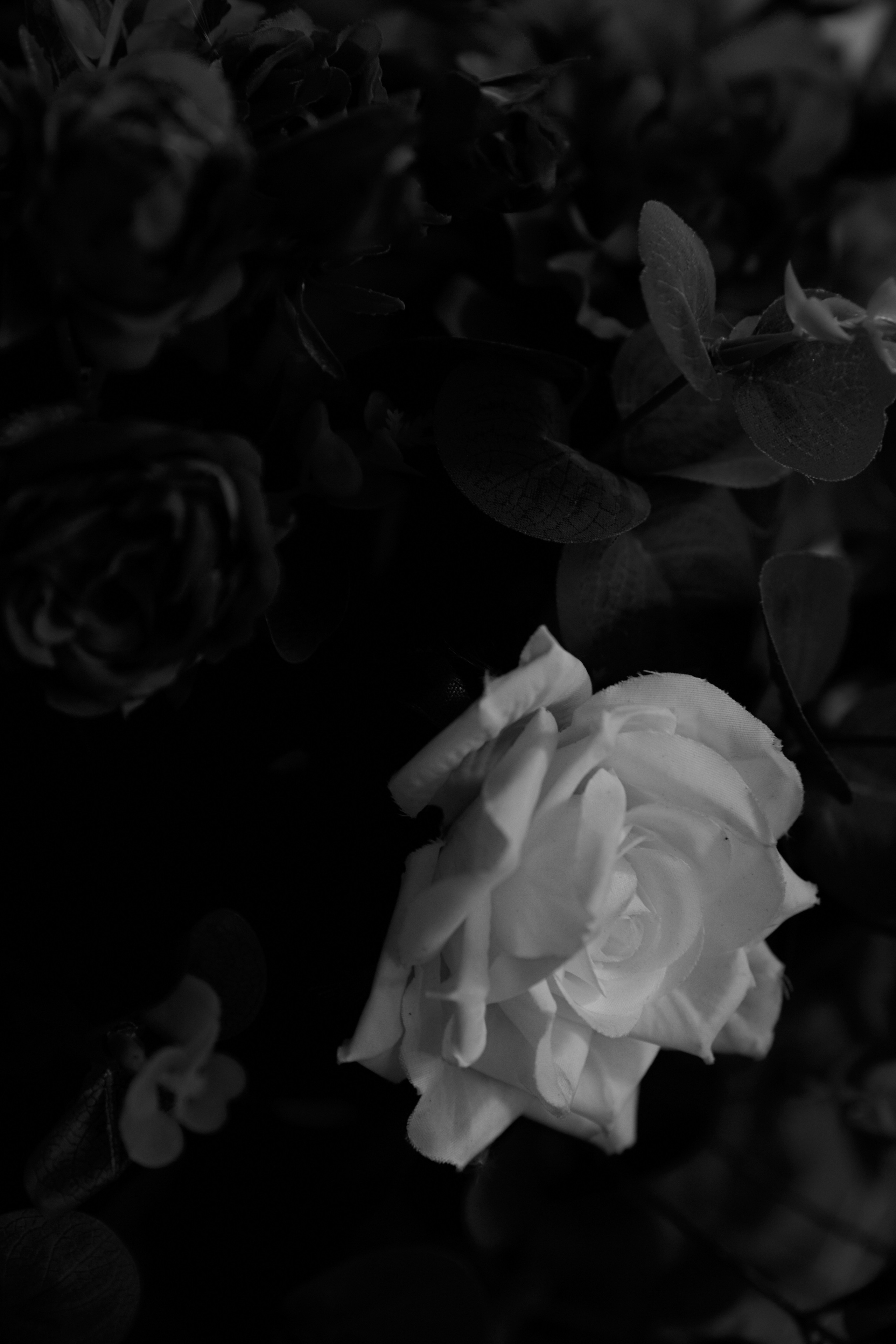 Autumn wedding. Профессиональный фотограф Светлана Писарева