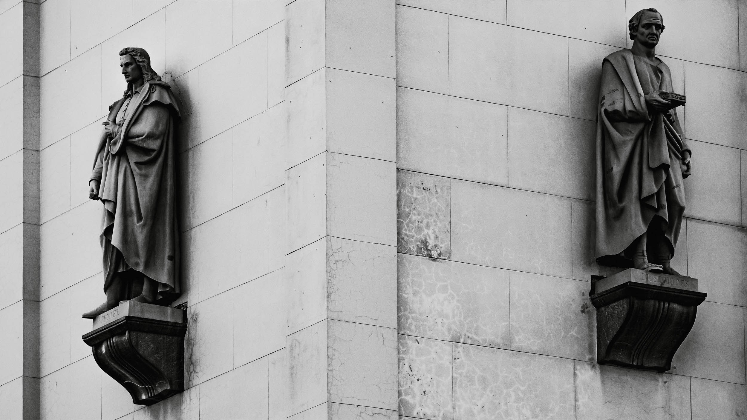 Saint Petersburg. The Andris