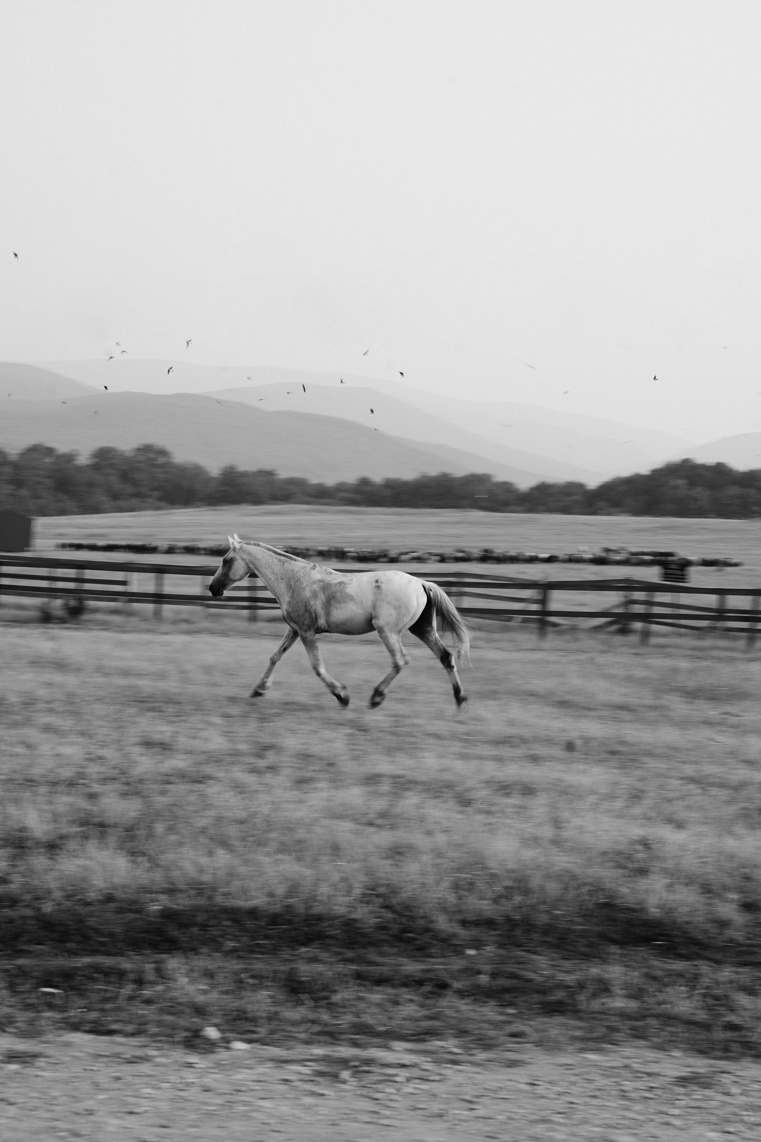Фотосессия на природе. Фотограф с психологическим образованием
