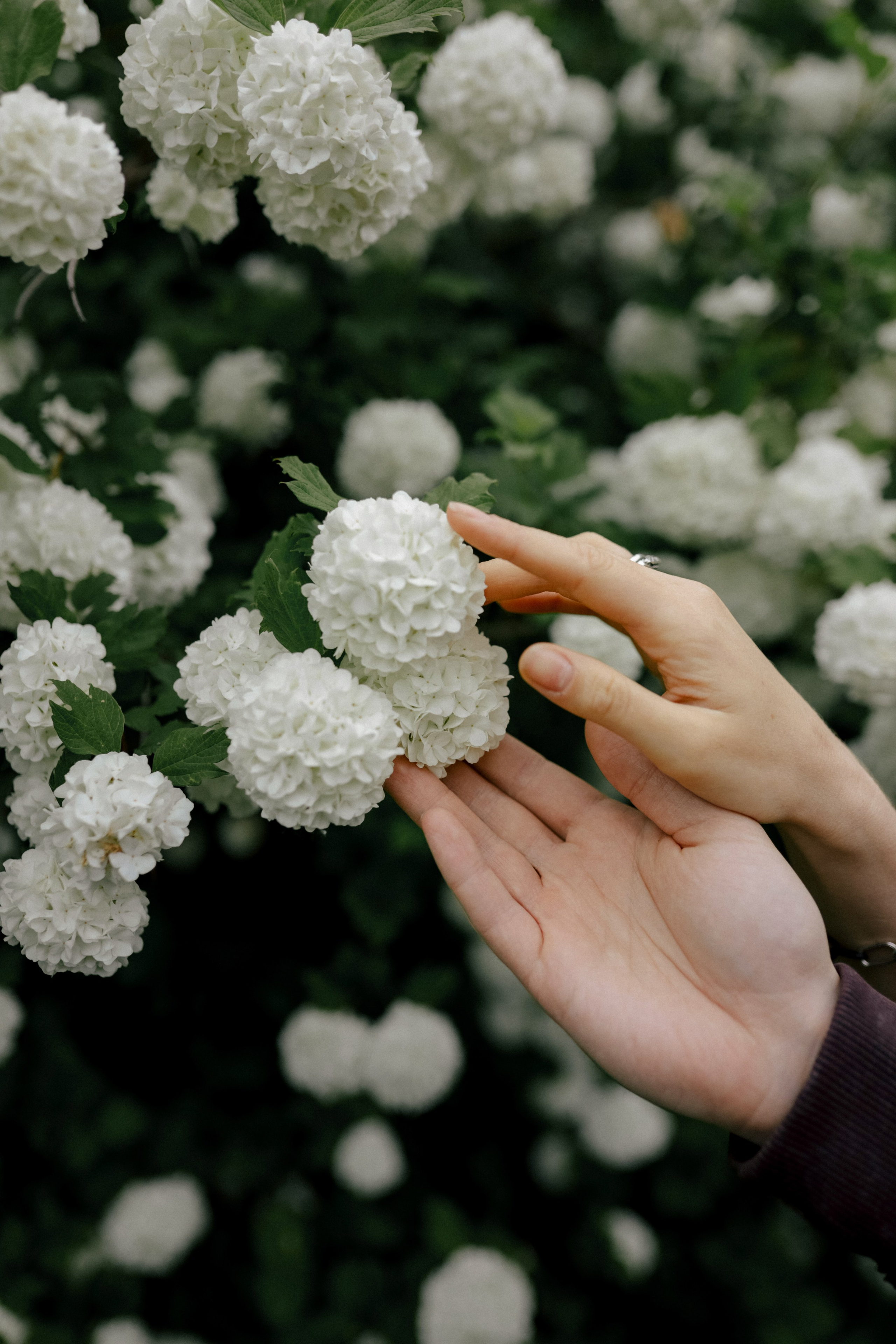 Побежали смотреть весну. Свадебный и семейный фотограф в Варшаве