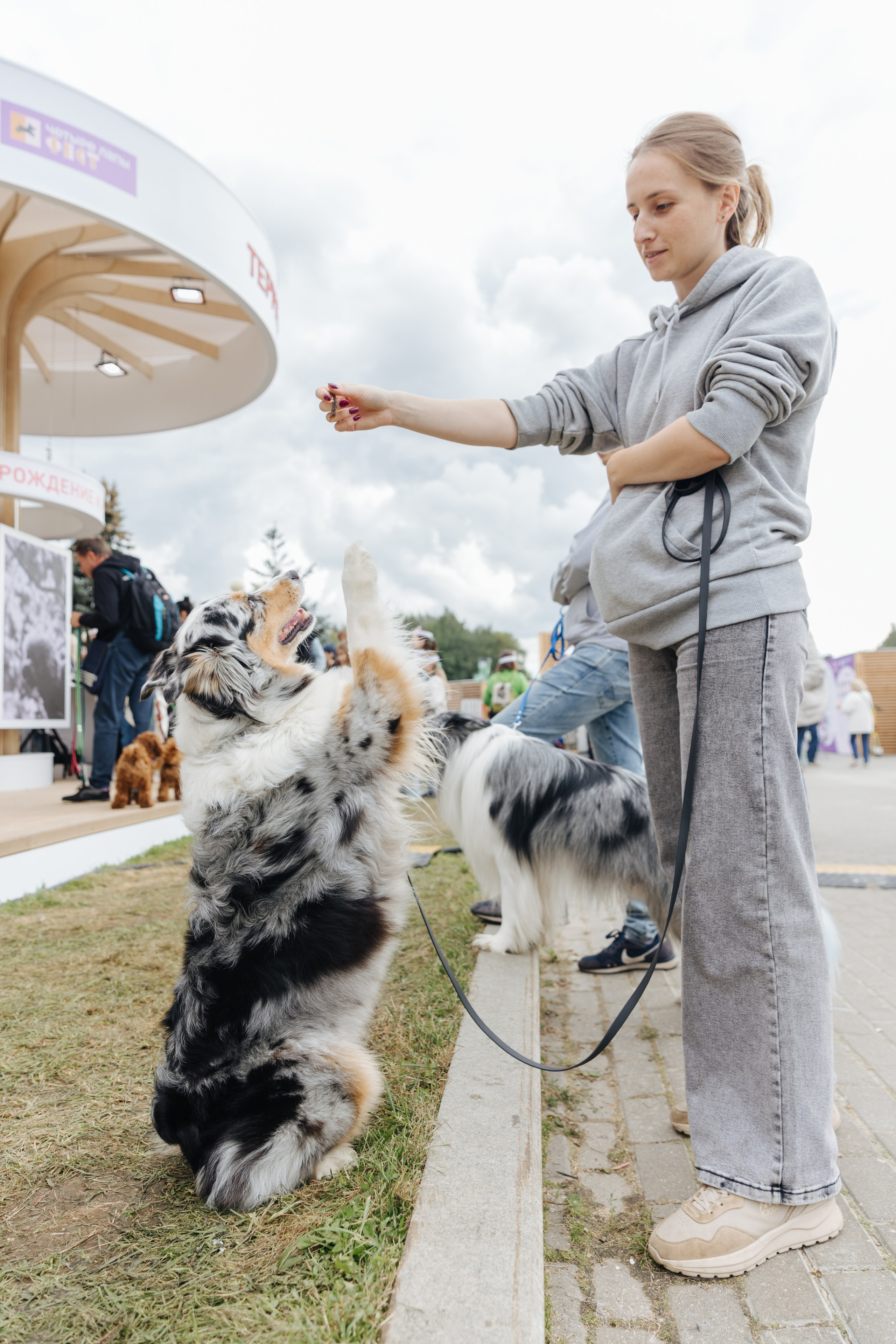 Хвостатый репортаж. Аксана Лисовская фотограф в Москве. Фотографии с характером
