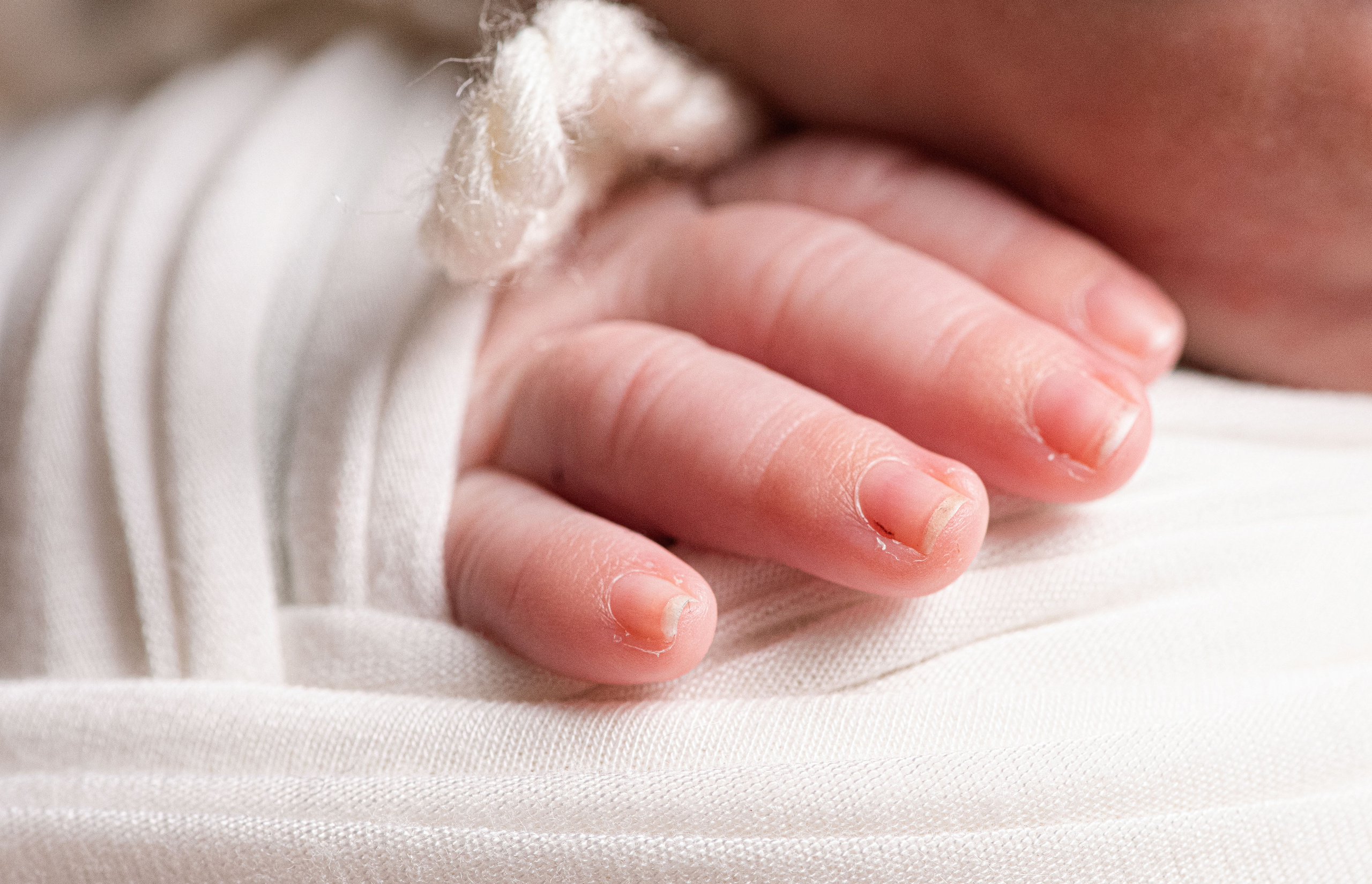 Макро. Фотограф Новорожденных во Владивостоке Ольга Галаницкая