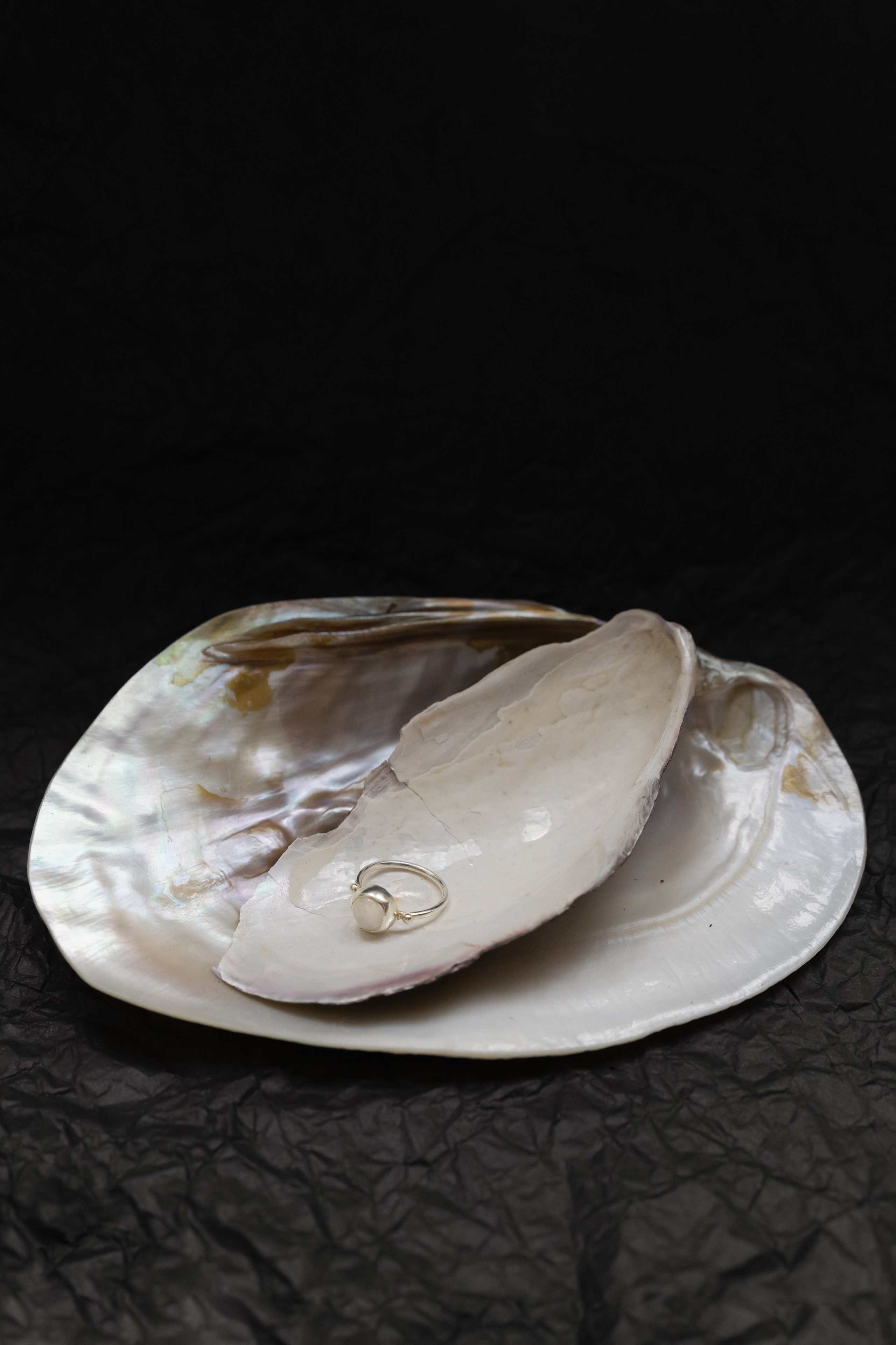 For ANKAS. Arina Chernykh