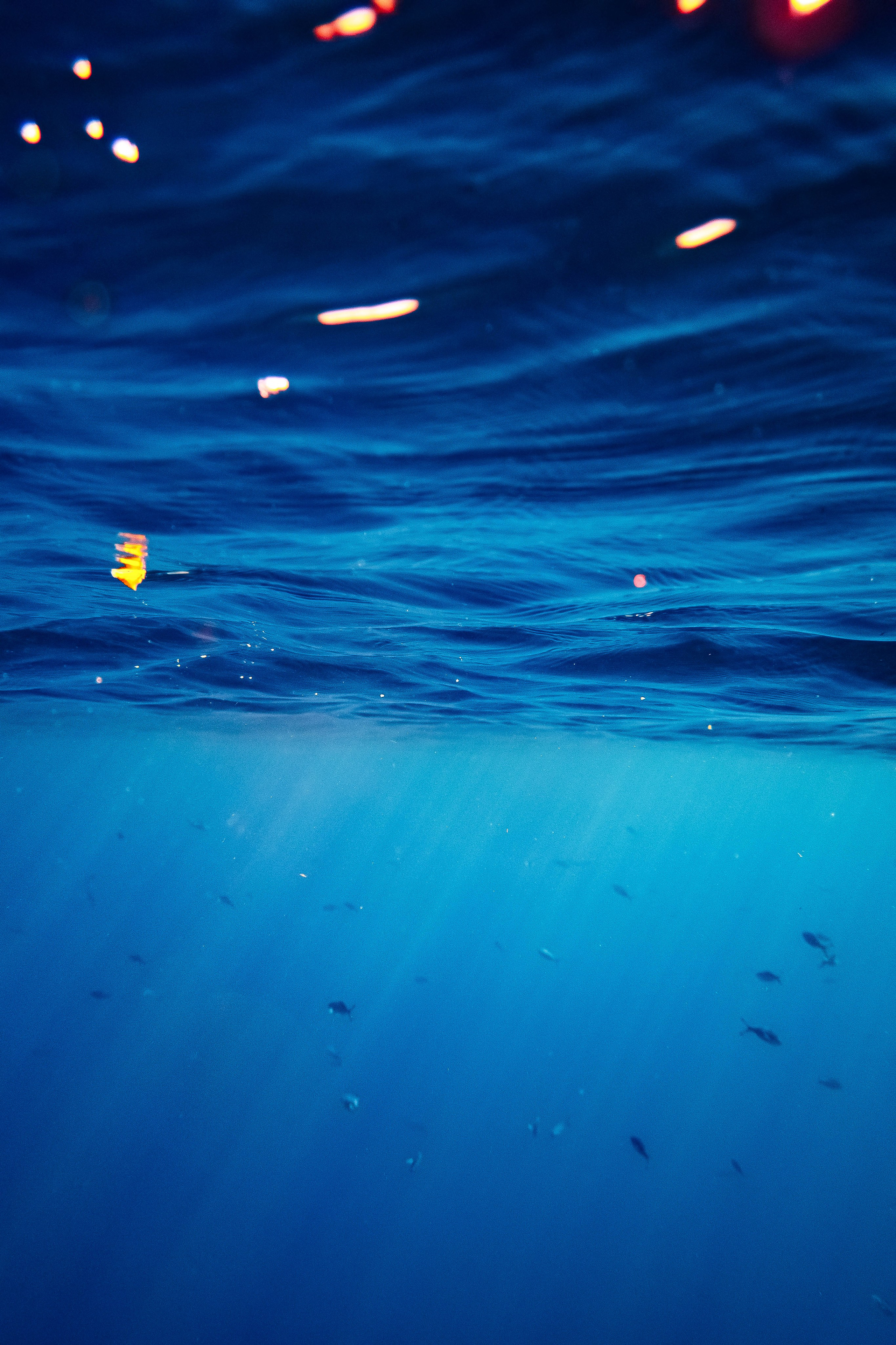 Fish. Фотограф Светлана Голицына