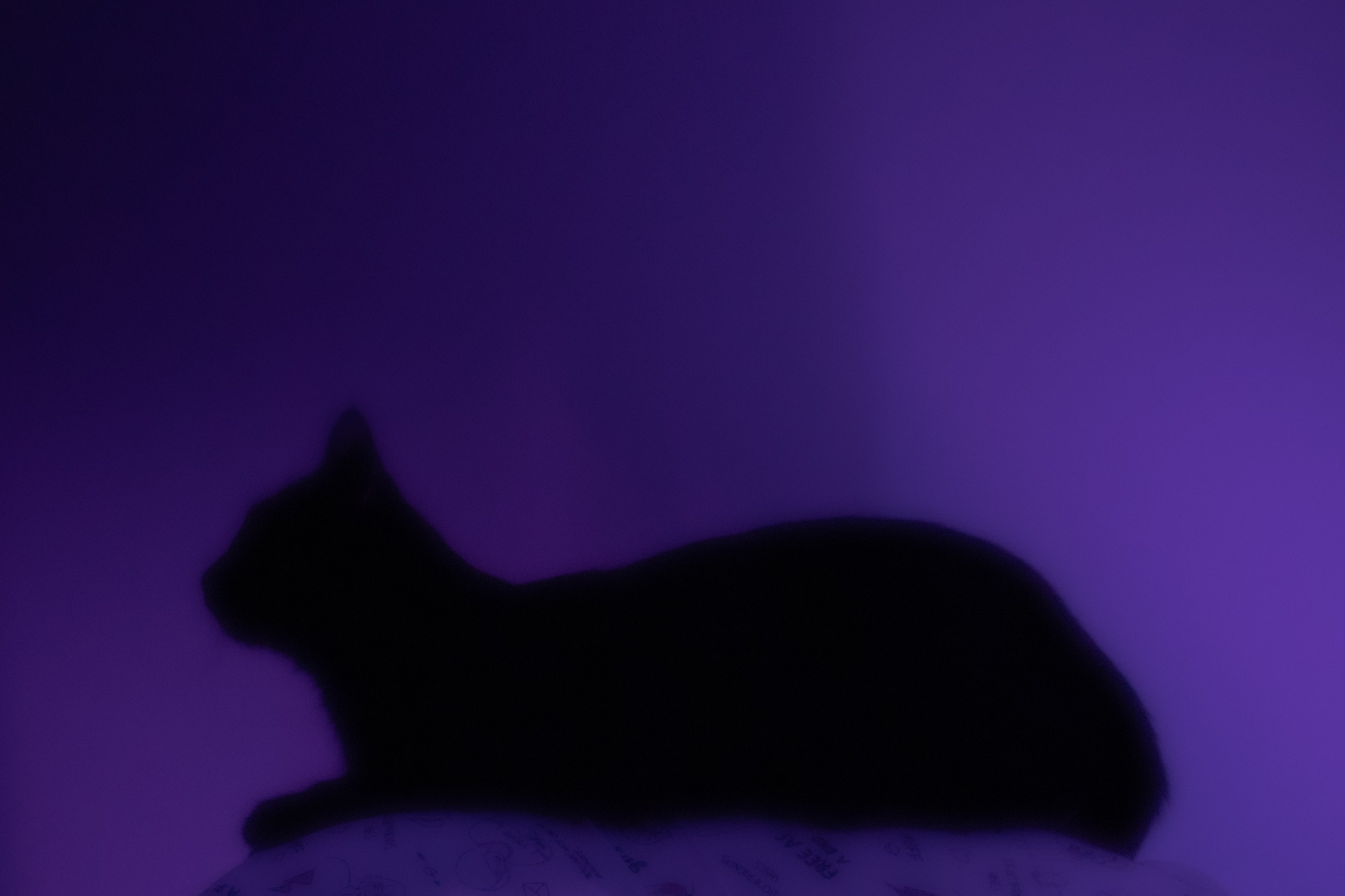 Л Ю Ц И Ф Е Р. — Digital Noise —