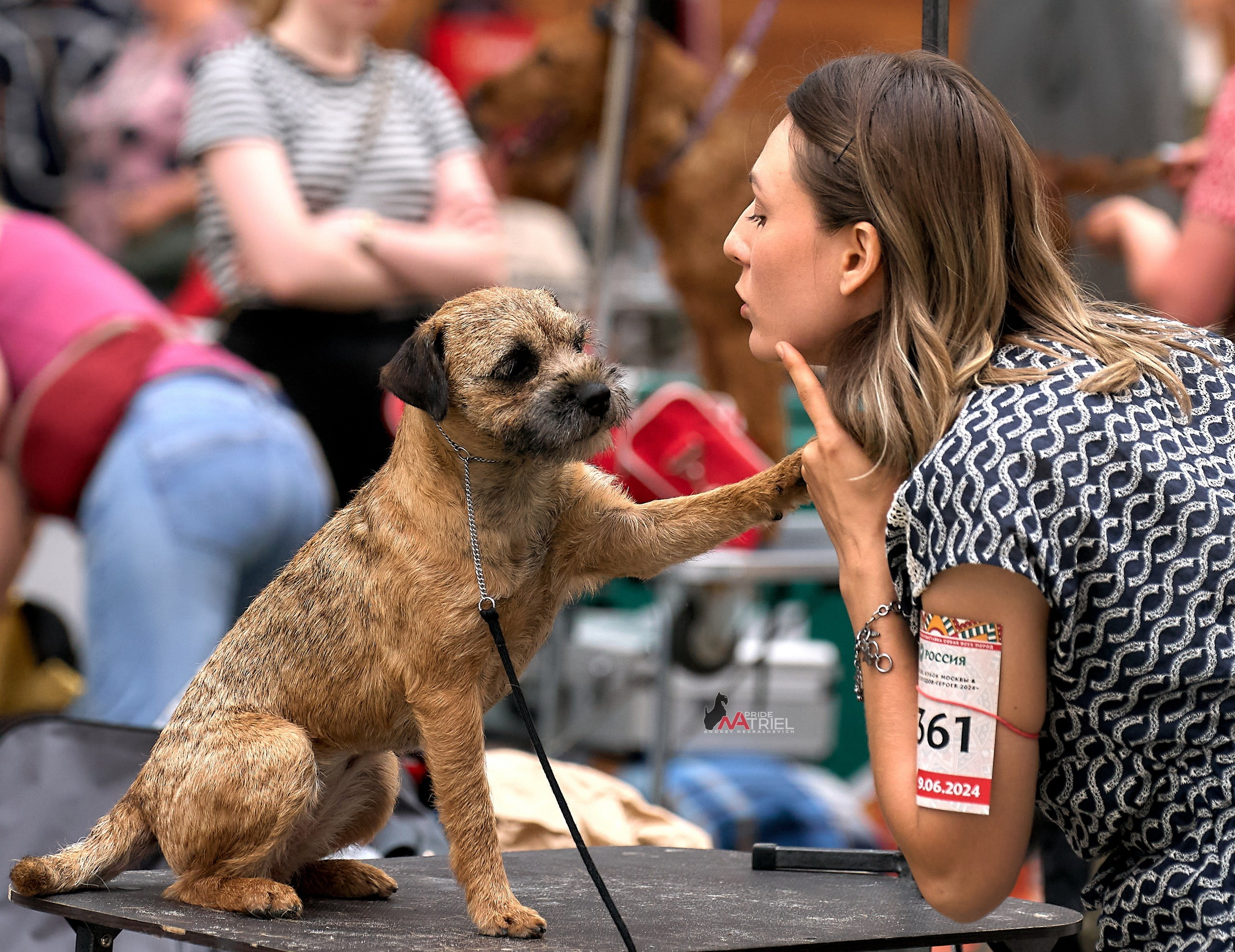Картинки с выставки — галерея NATRIEL