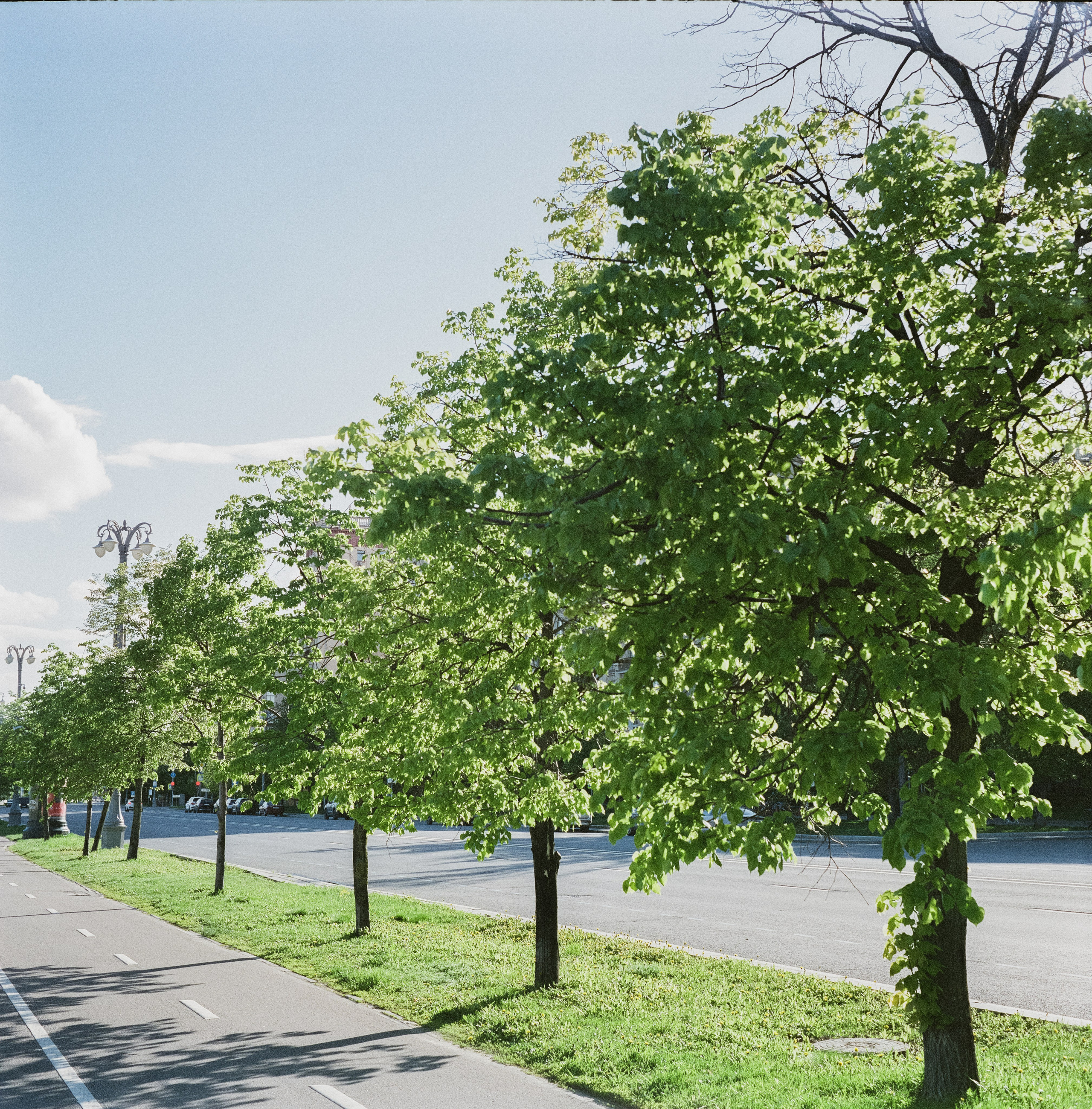 Фрунзенская набержная | Super Fujica-6 | Fujicolor Pro 400H