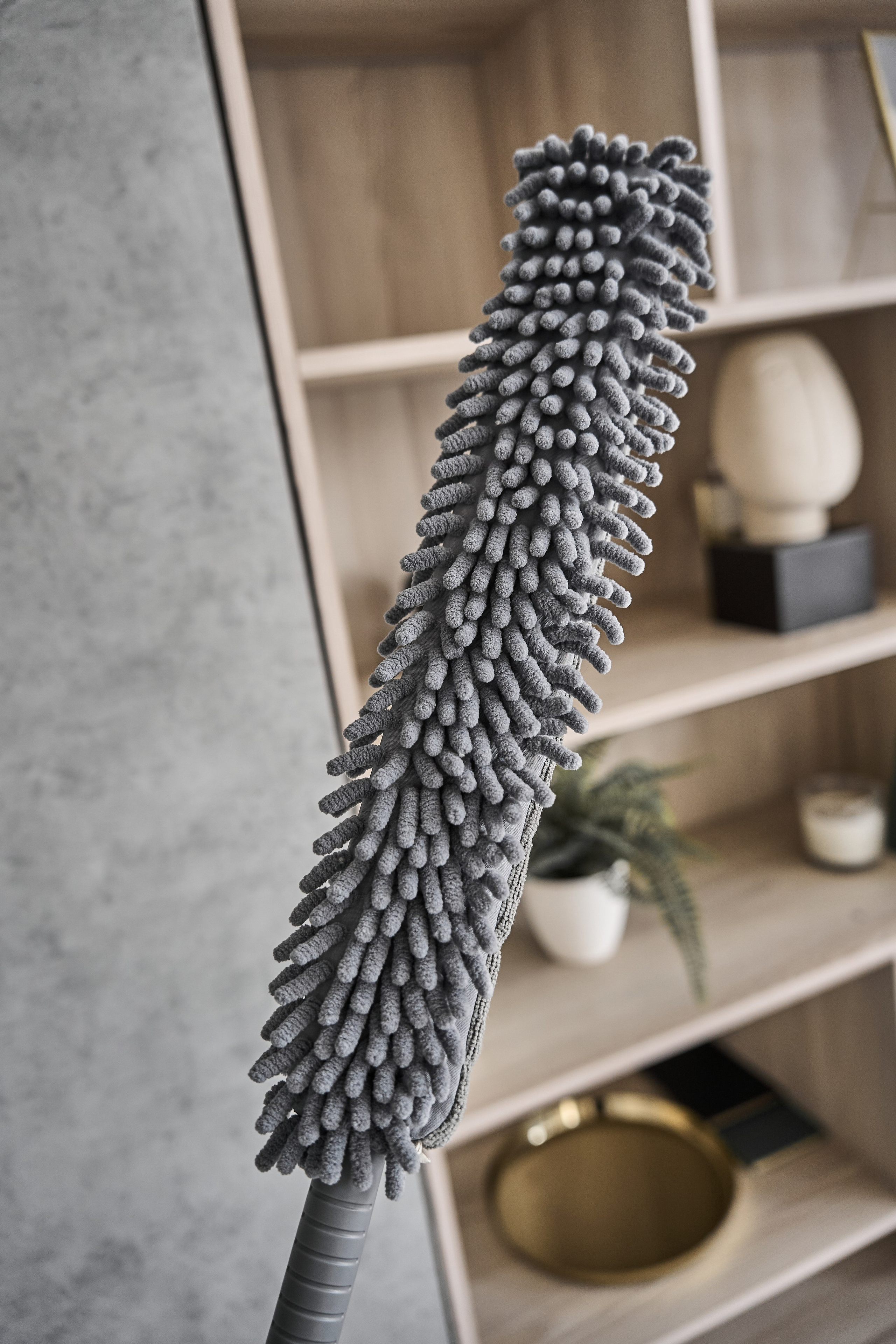 White cat. Фотограф в Москве Казакова Анна