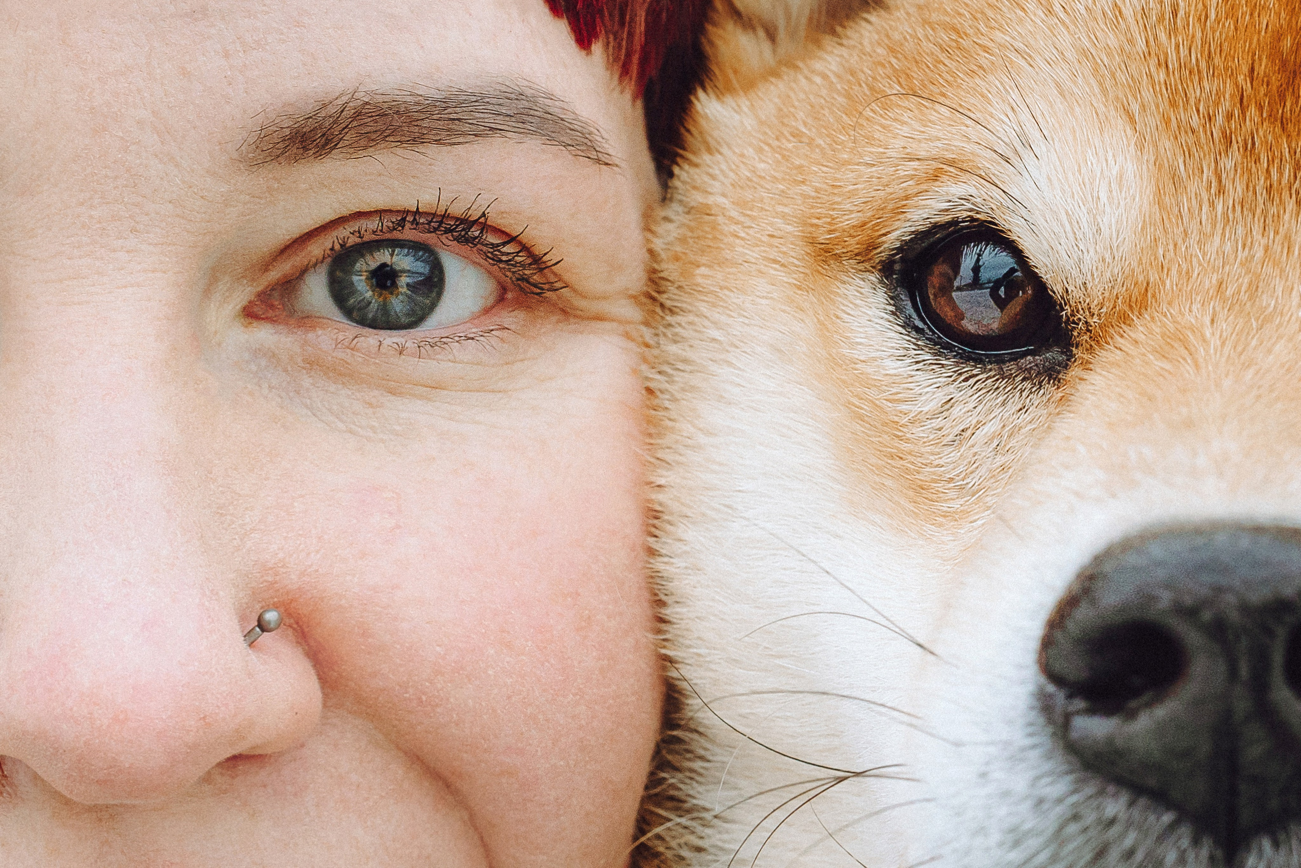 Настя и Ронин