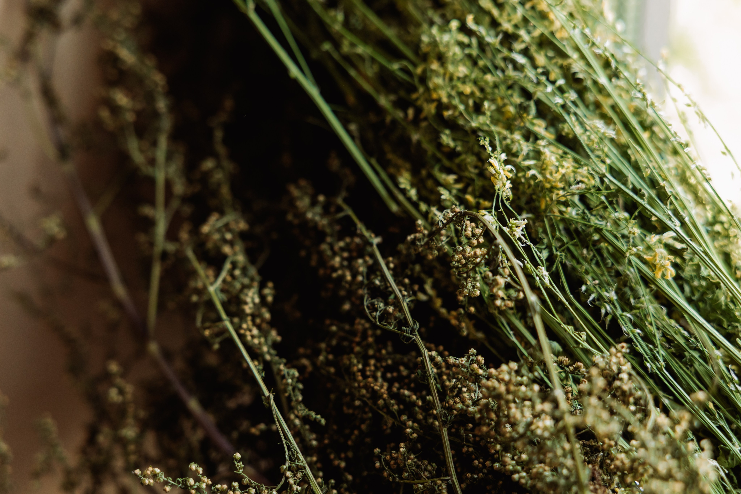 KUKSA|ТО, ЧТО ТЕБЯ СОГРЕВАЕТ|Кело-баня на дровах, г. Коломна. ФОТОГРАФ ИРИНА ШАМАТАВА