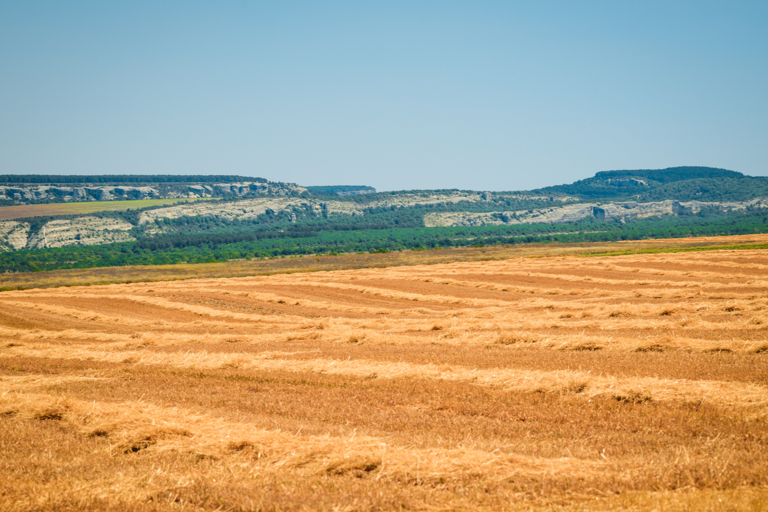 Выездные и прогулочные фотосессии. Морские, Street. Студийный и свадебный фотограф и видеограф в Севастополе — Юлия Макаренко