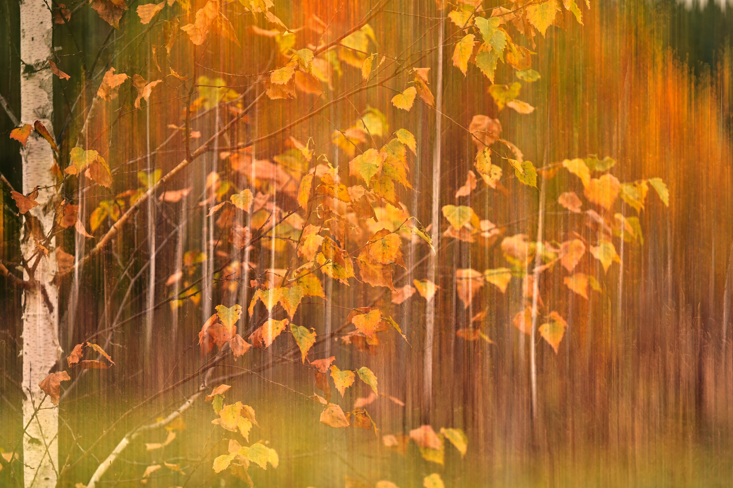 Курганская область. Портретный фотограф в Челябинске Катерина Руди