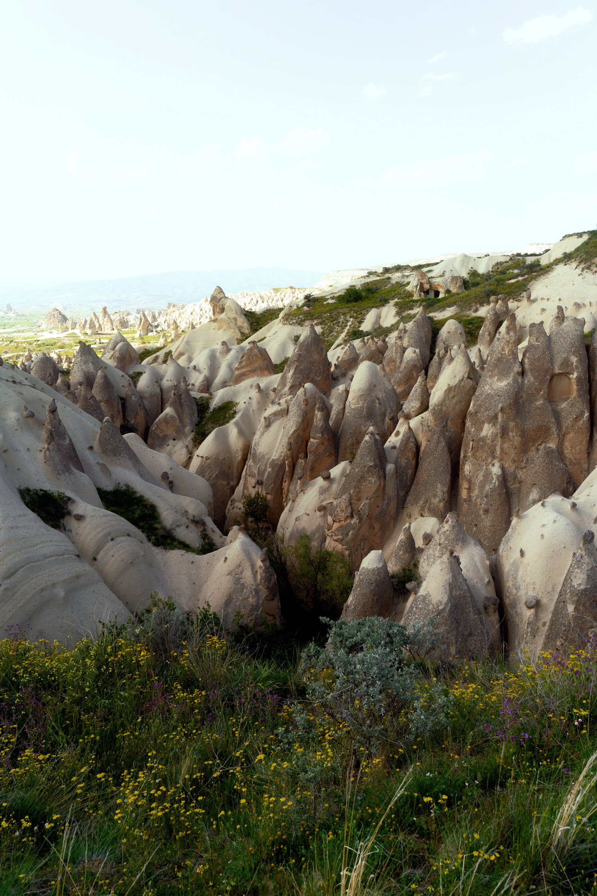 Турция, Греция, Иордания. Фотограф в Хабаровске. Фотография за 24 часа