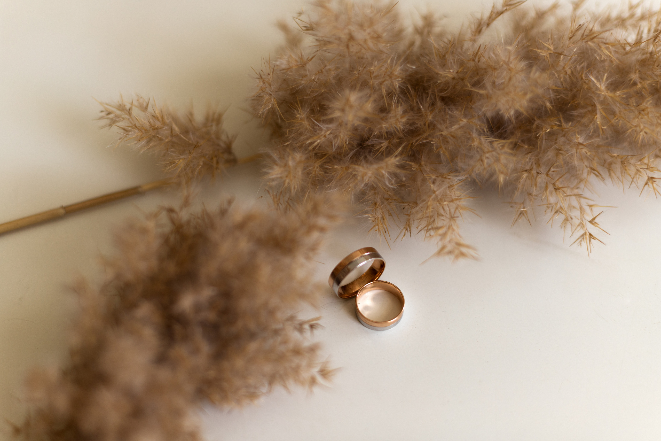 Олеся и Олег. Фотограф в Ростове-на-Дону Мария Безменова