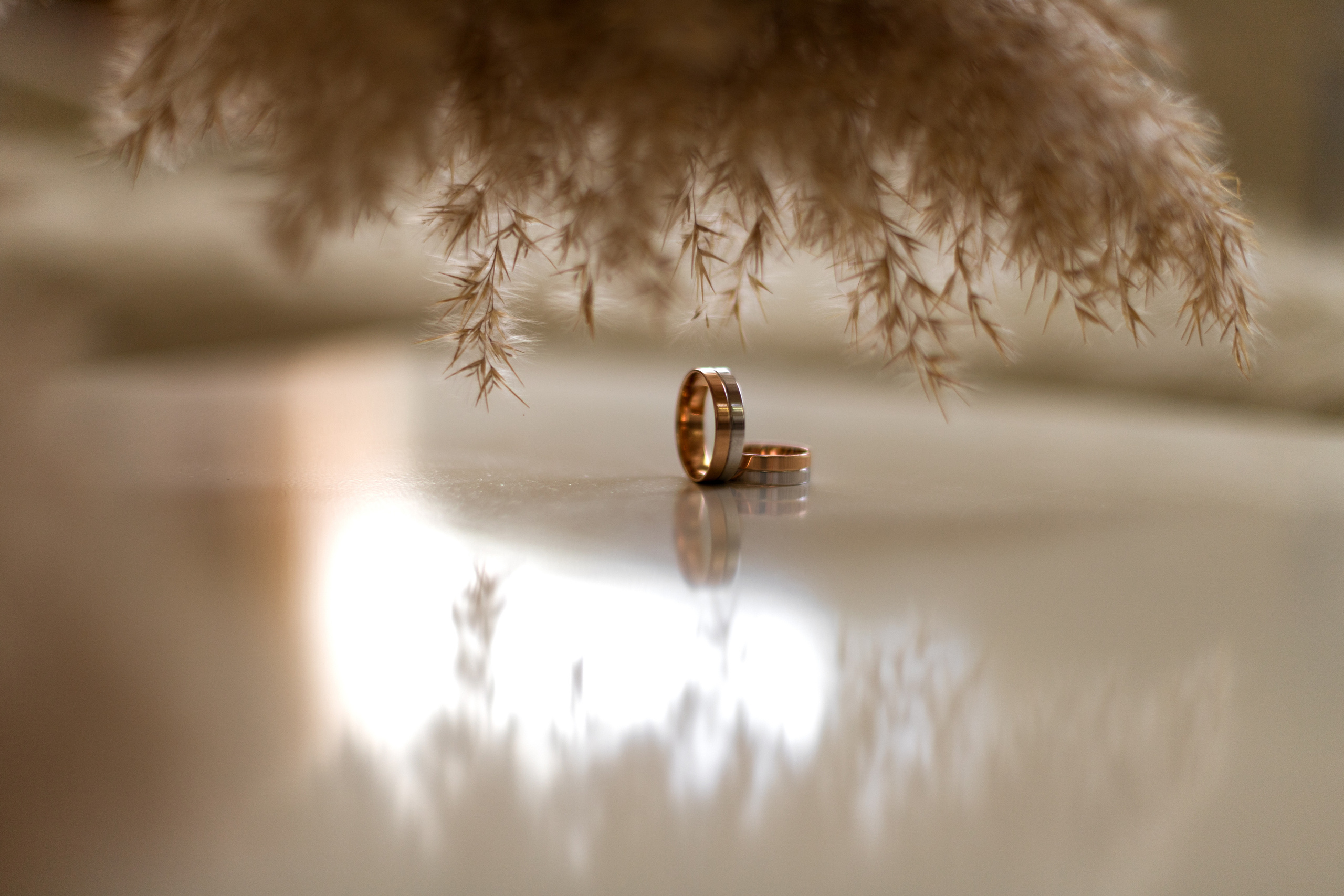 Олеся и Олег. Фотограф в Ростове-на-Дону Мария Безменова