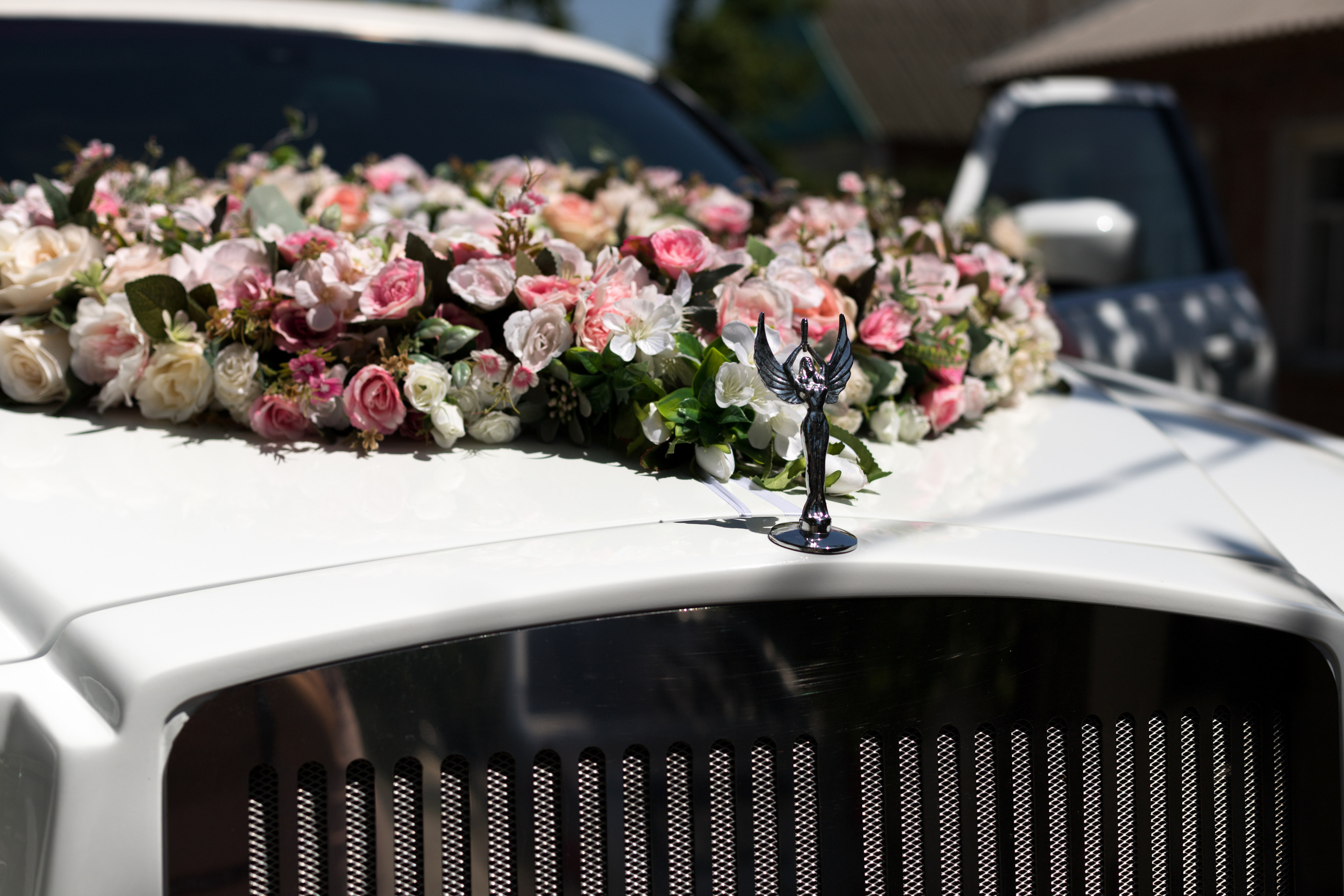 Олеся и Олег. Фотограф в Ростове-на-Дону Мария Безменова