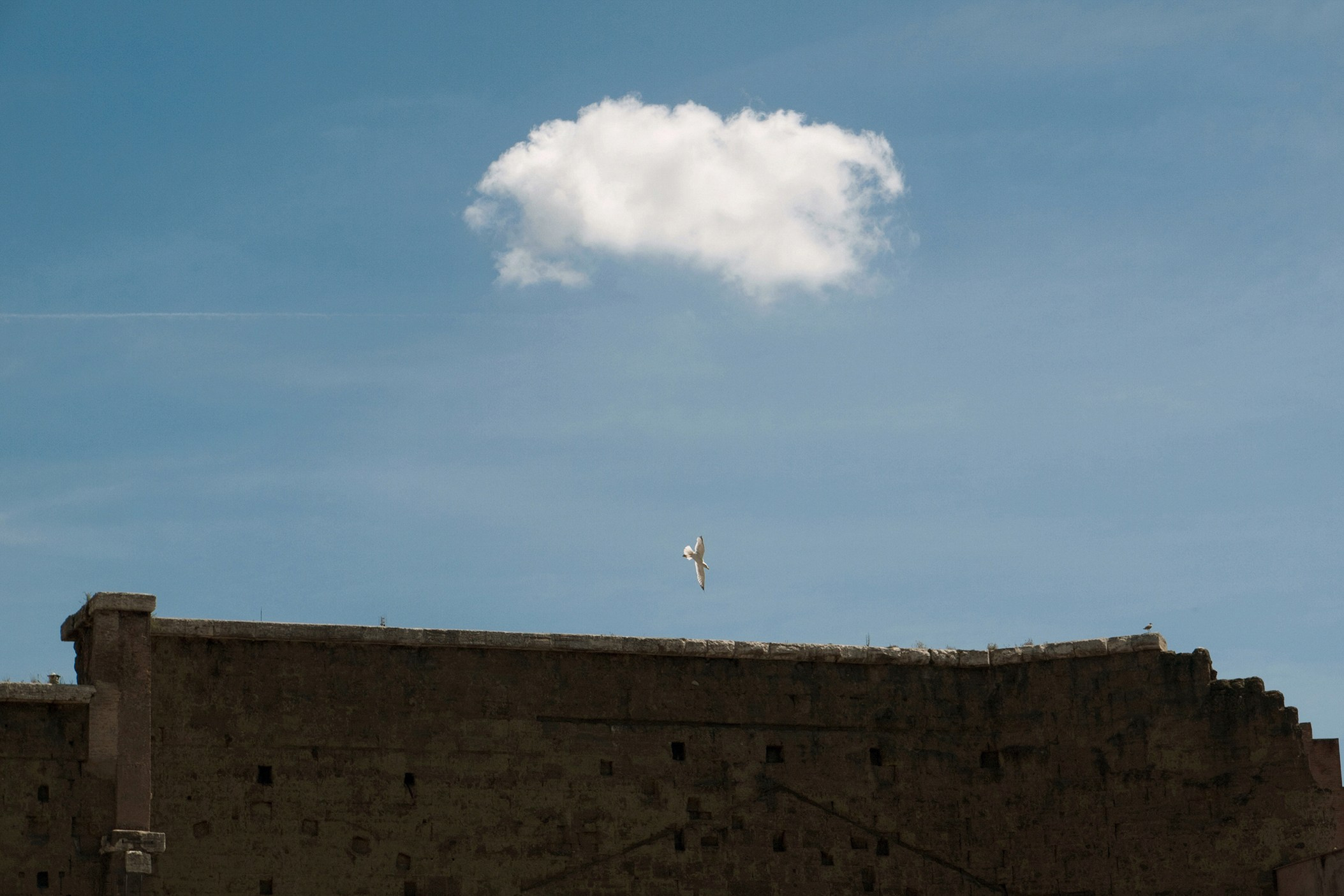 Симуляторы (Каталог № 1). Главная