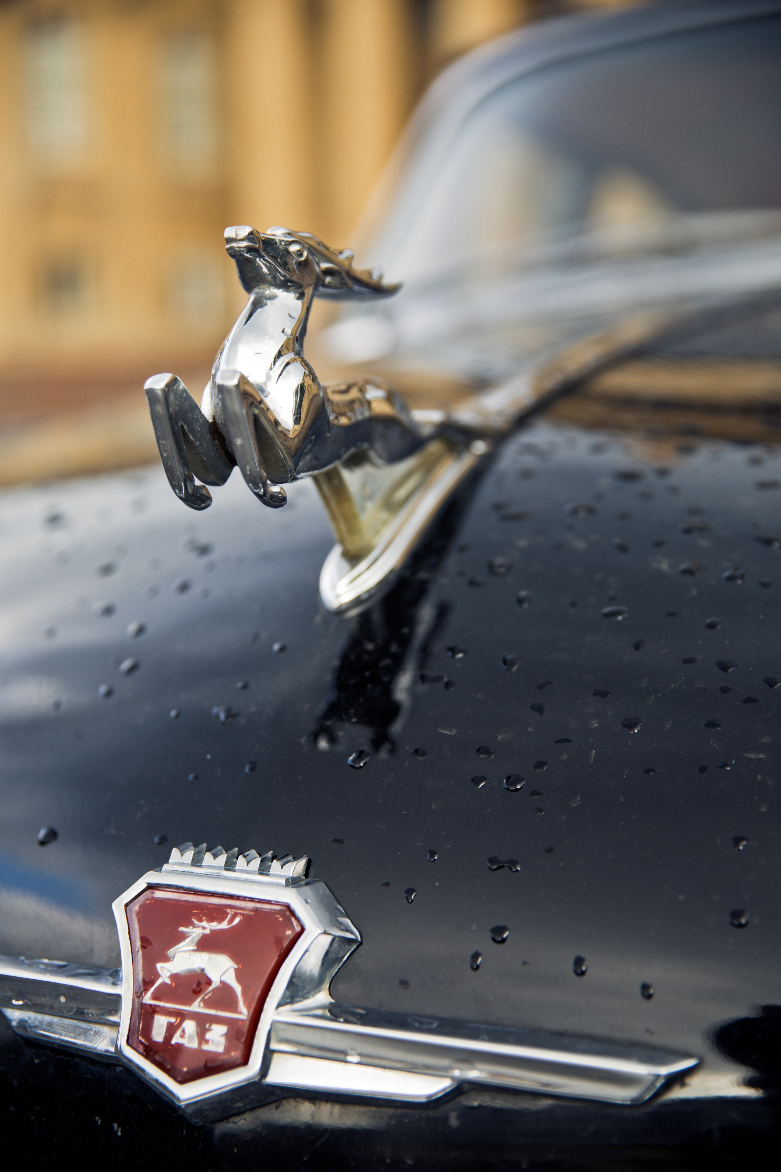 Диана. Свадебный фотограф Виктория