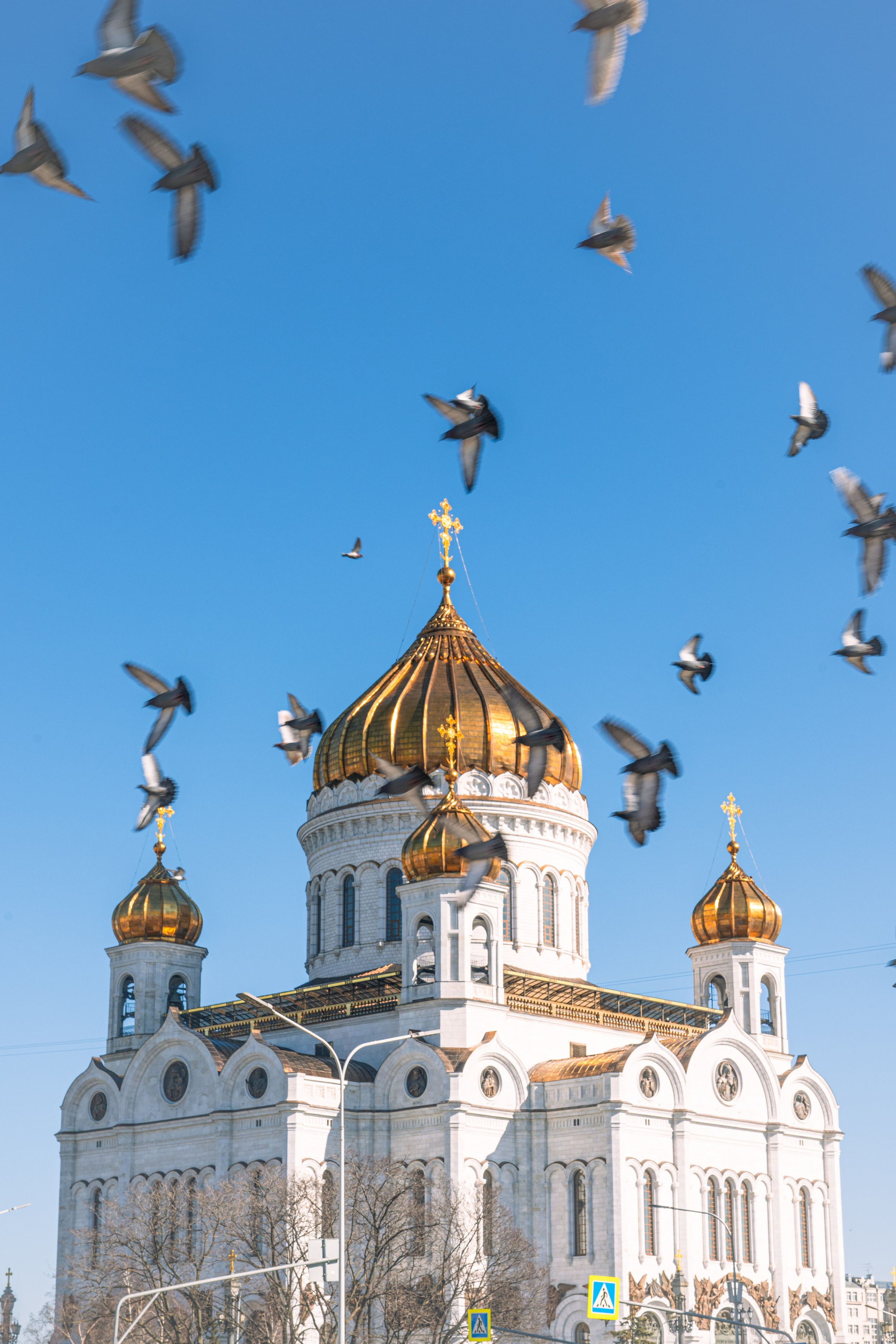 Чтобы пройти аттестацию — надо пройти Москву!. П&П — Полезное с Приятным. Фотоэкскурсии — Москва на память. Экскурсовод и фотограф в Москве. Увези столицу в своём альбоме!