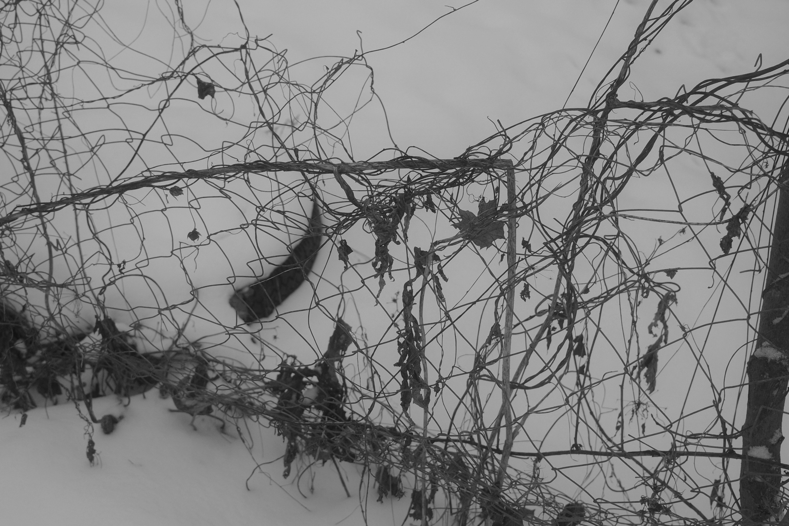 — 2025. Фотограф Злата Спицына