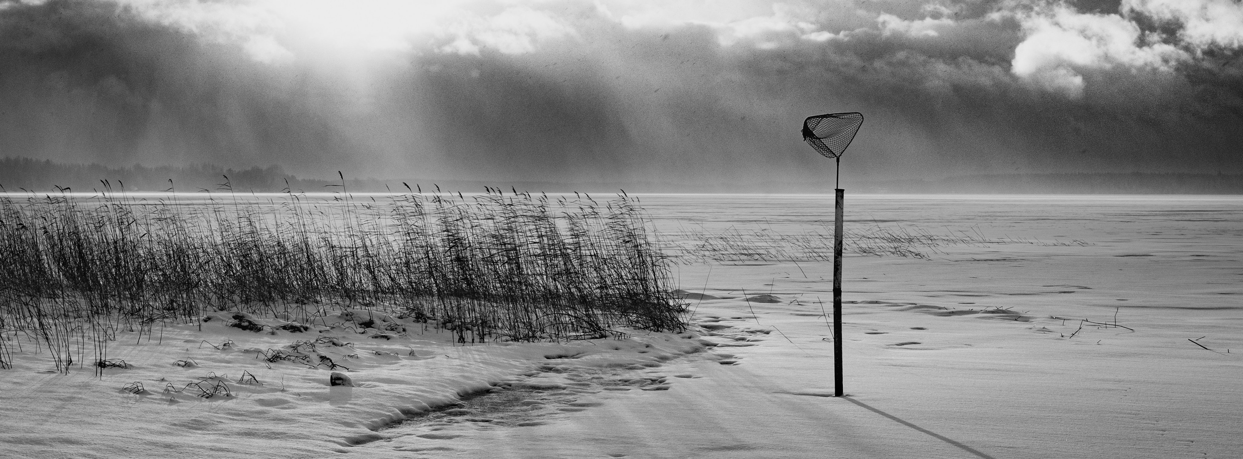 Альбом. Фотограф Арсен Сулейманов