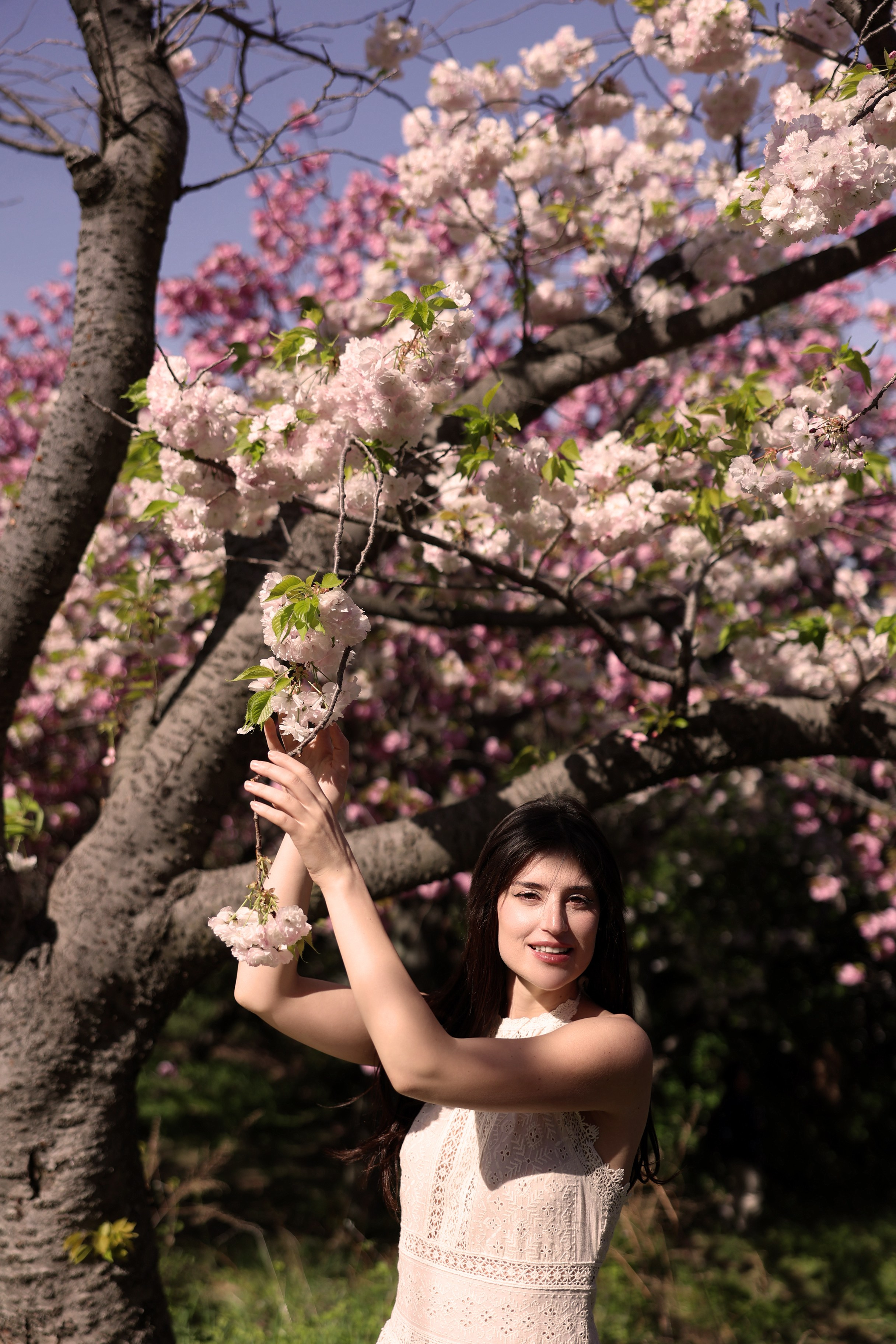 Busan Photographer. Photographer in Busan | Royal Cherry Blossom Solo Photoshoot