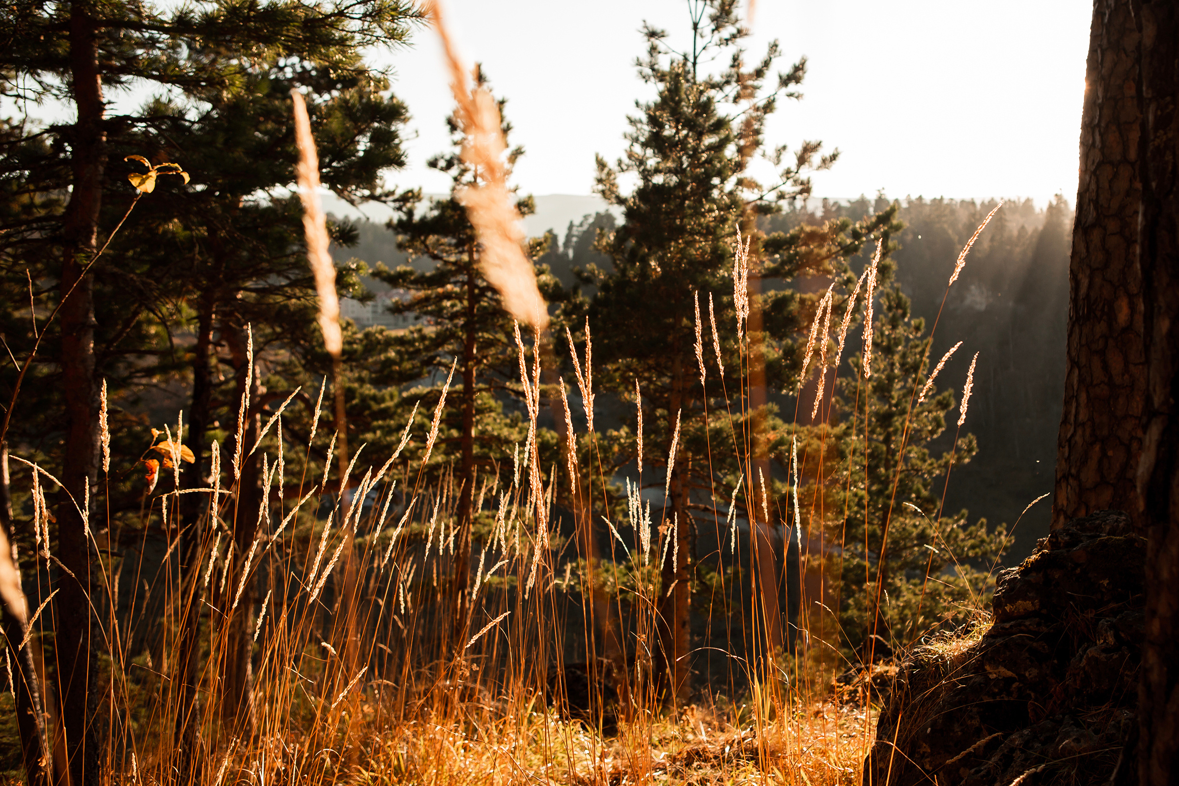 История Любви в горах. Семейный фотограф, свадебный фотограф, детский фотограф в Краснодаре А