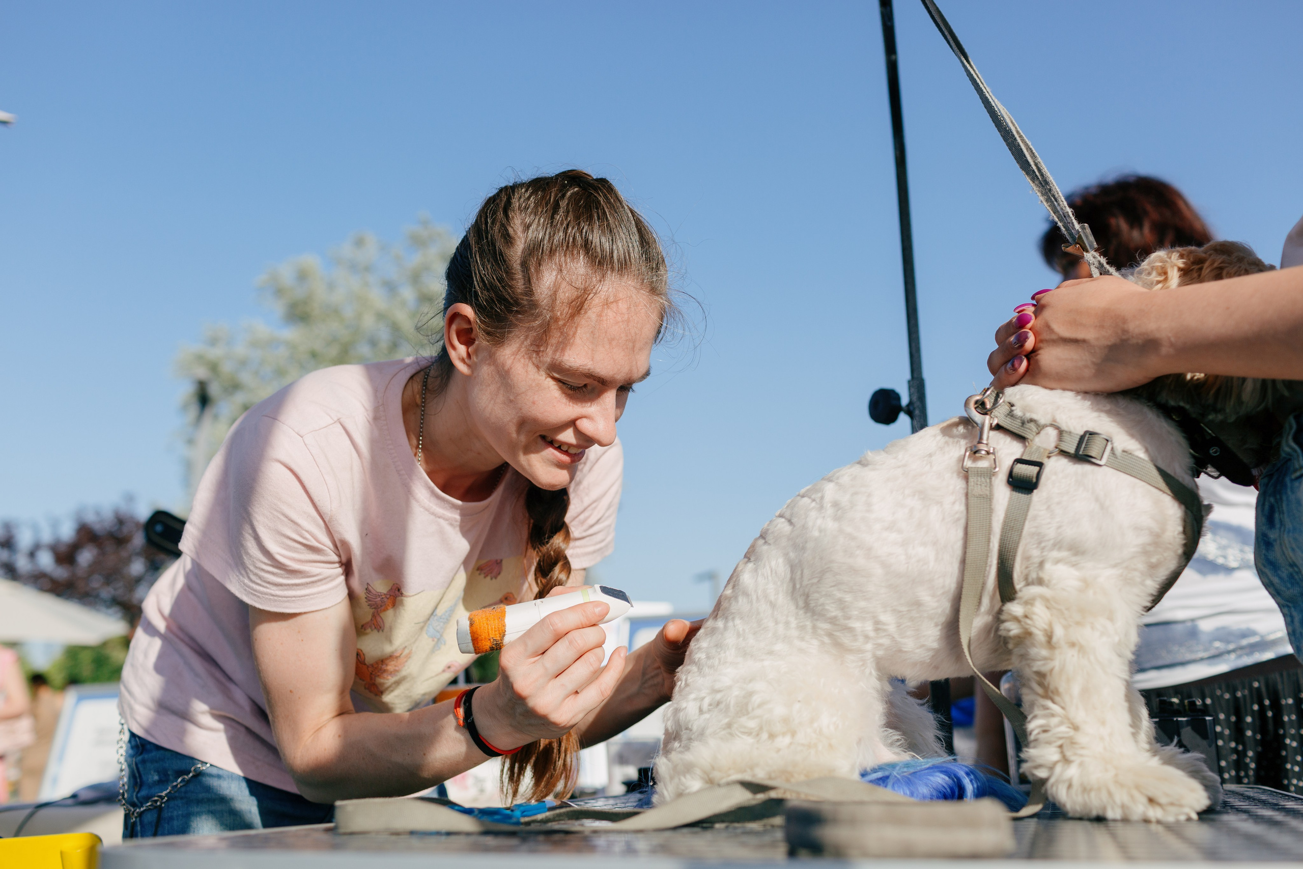 Dog Fest 2024. Главная