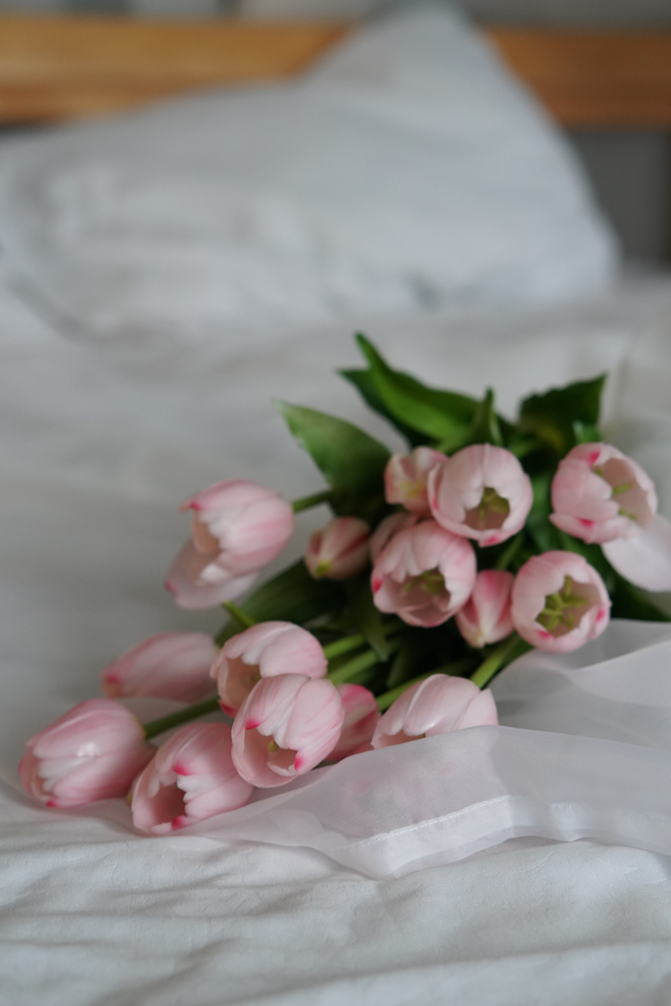 Зал Life фотостудия Импульс. Фотостудия в Саратове. Фотограф в Саратове