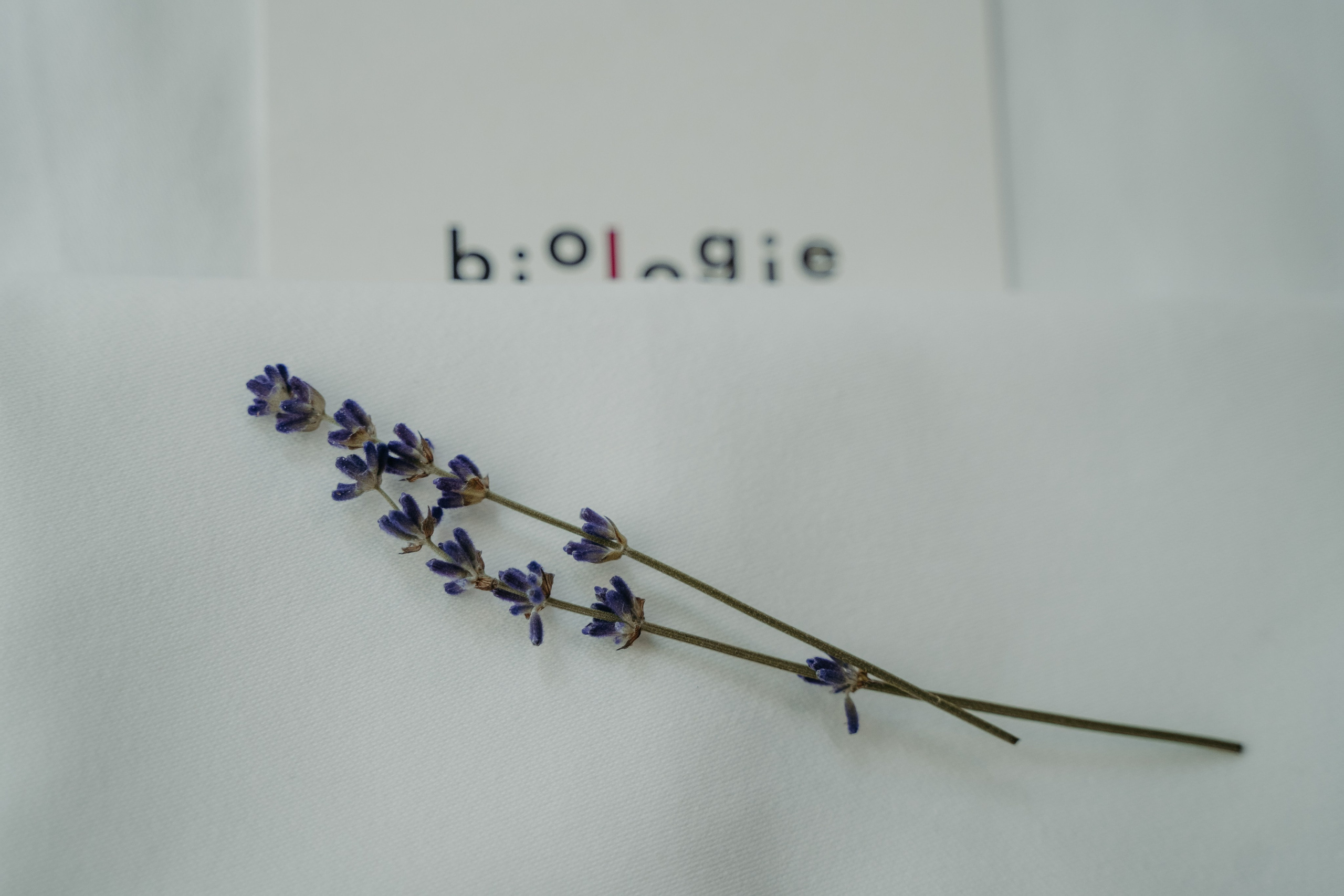 Открытый ужин с Mishlen Шеф Поварами. Репортажный и свадебный фотограф в Москве Рая Небогатова