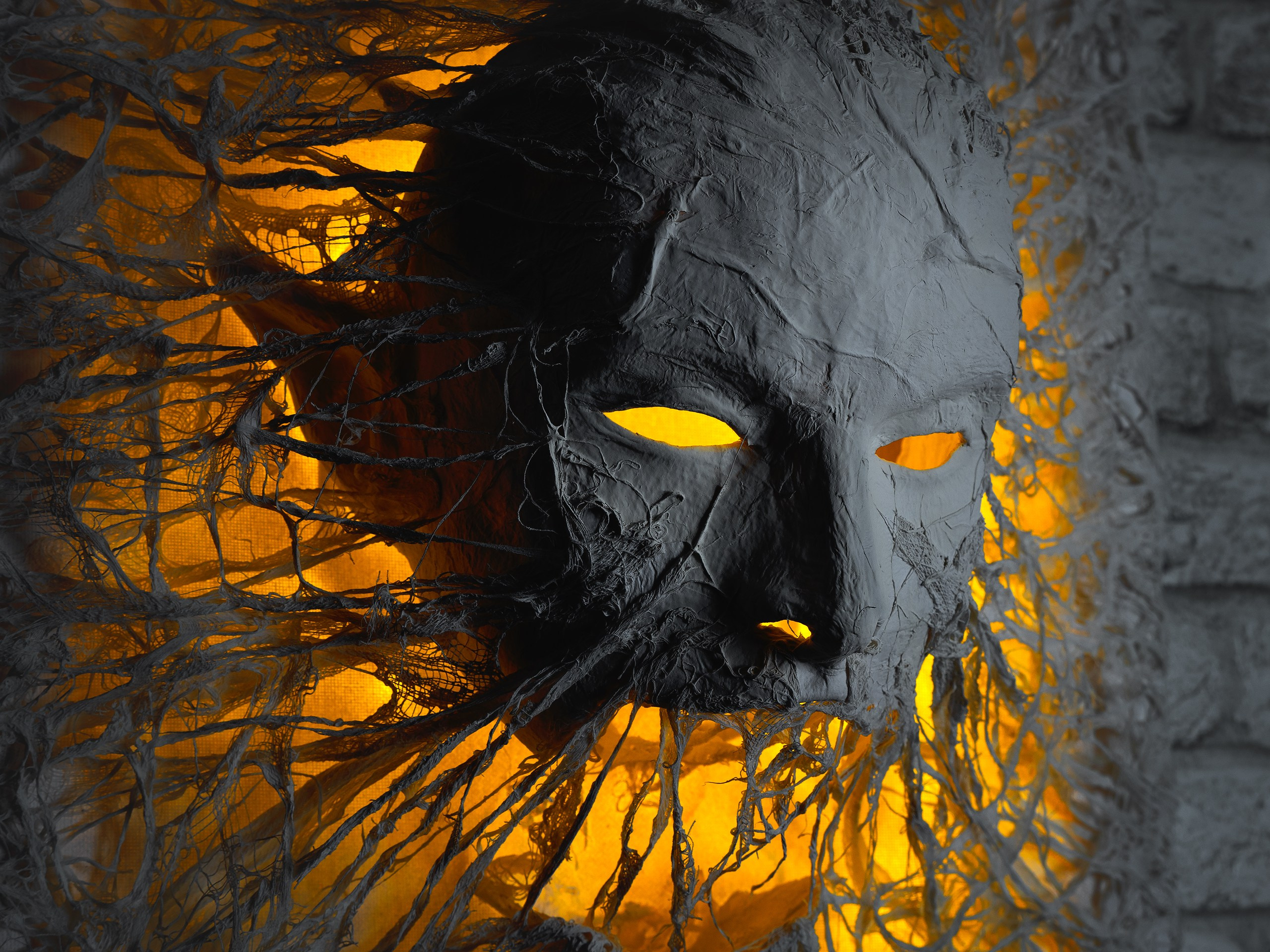 Картины. Фотограф анималист Никита Натальный